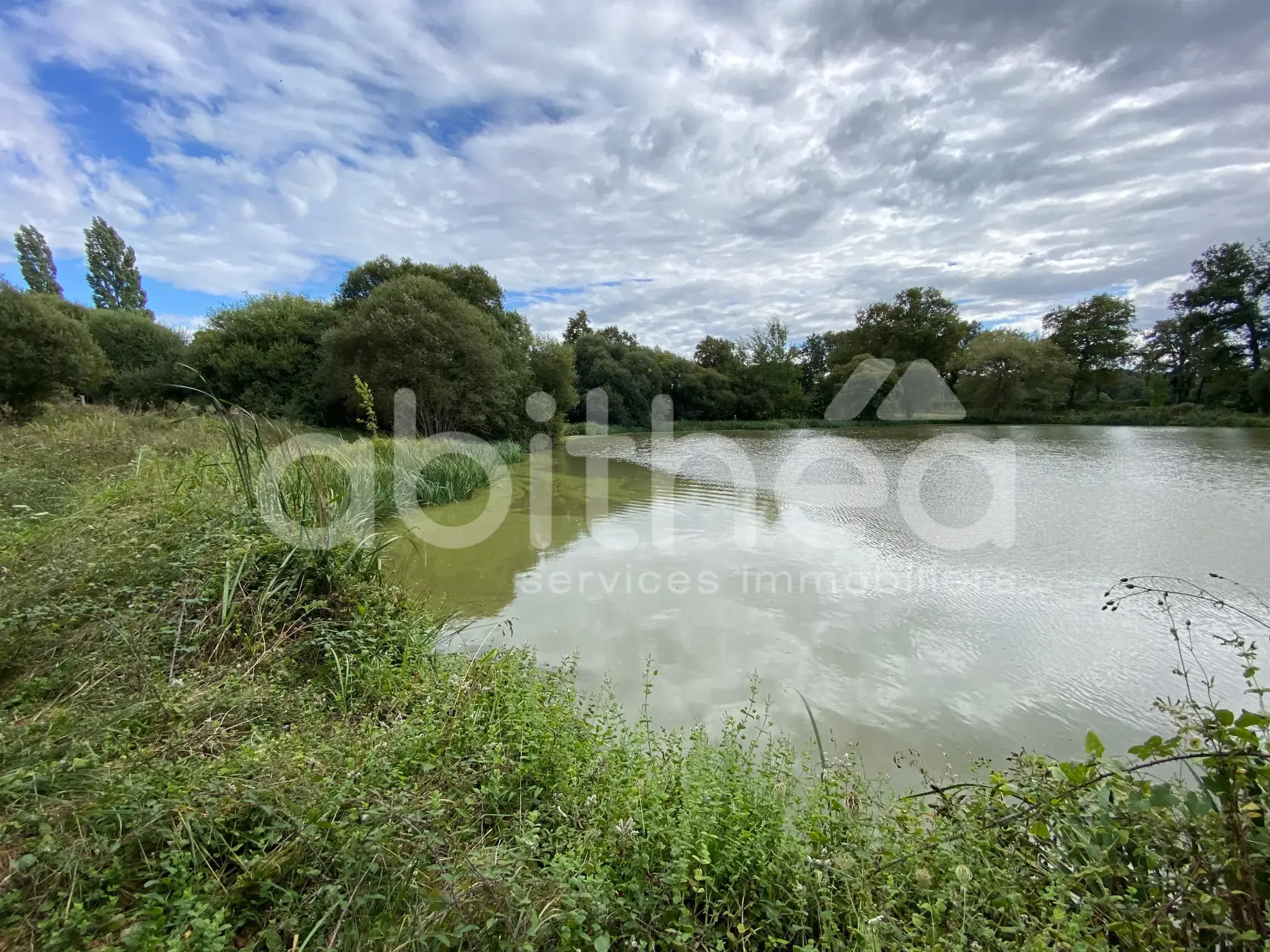 Terrain de loisirs avec deux étangs à Chabrac (16150) - Idéal pour la pêche et la détente 