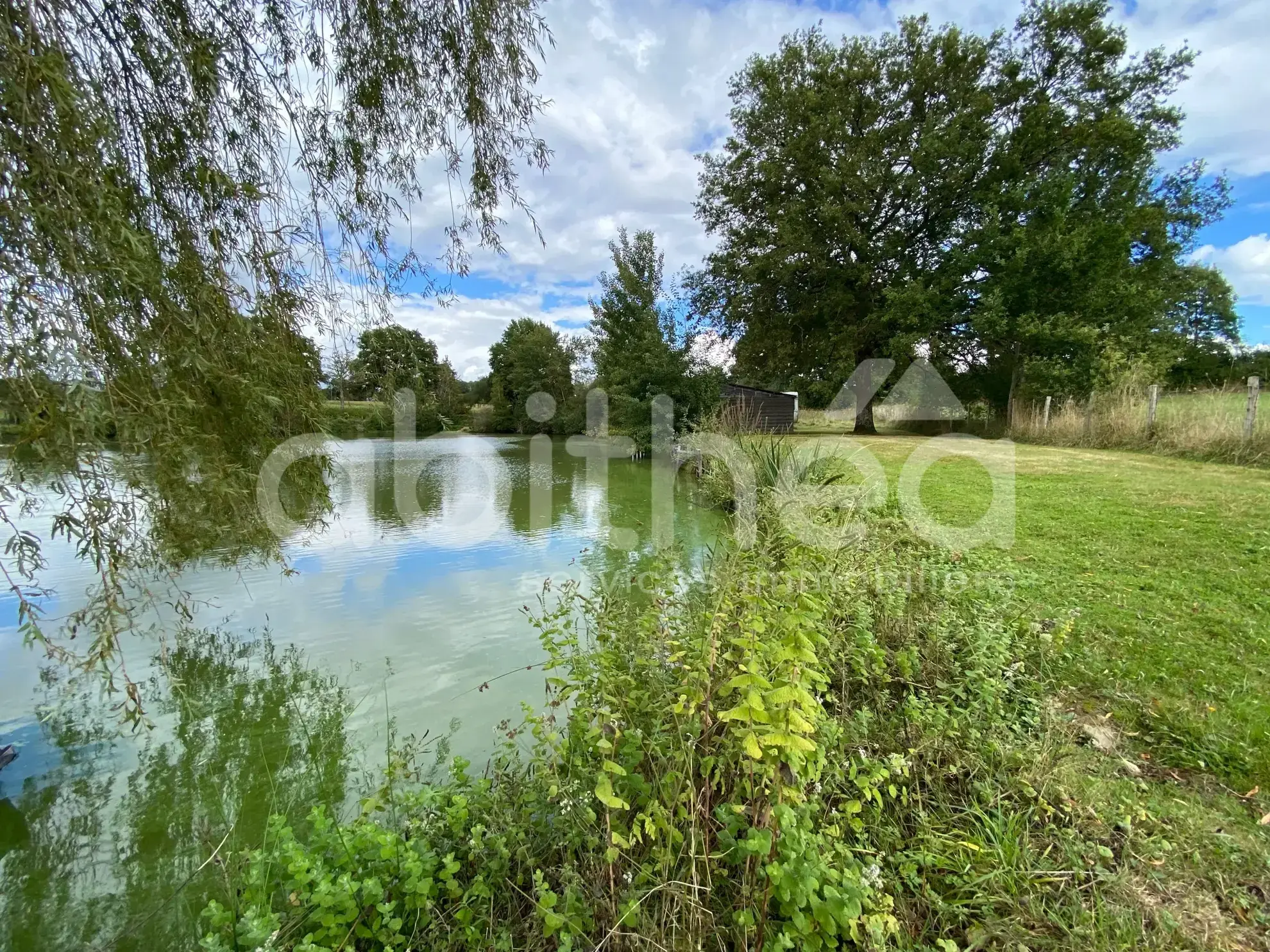 Terrain de loisirs avec deux étangs à Chabrac (16150) - Idéal pour la pêche et la détente 