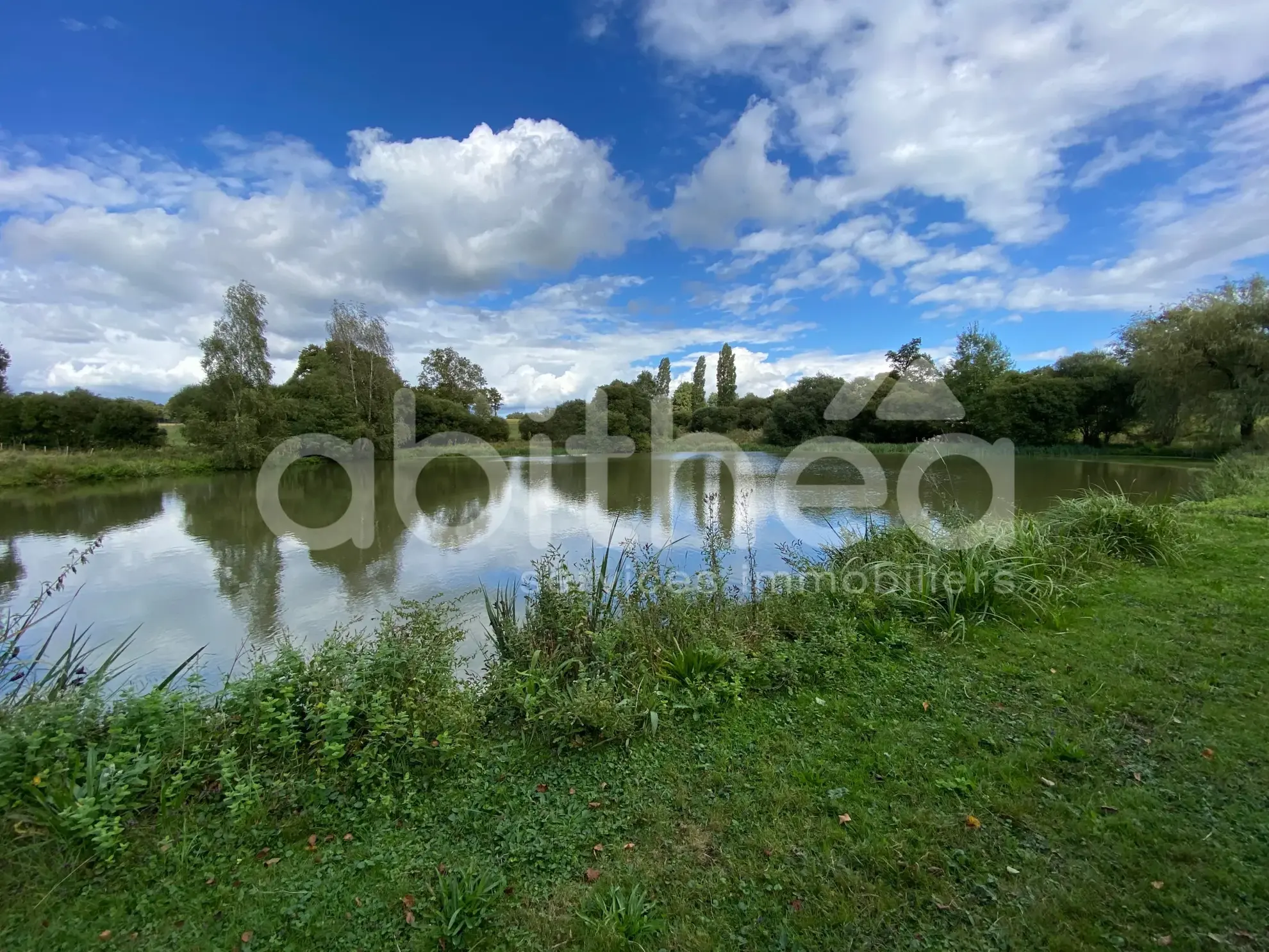 Terrain de loisirs avec deux étangs à Chabrac (16150) - Idéal pour la pêche et la détente 