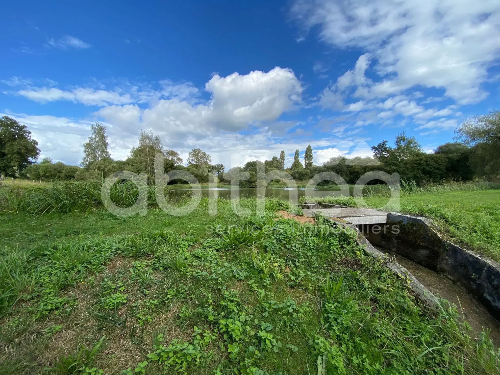 Terrain de loisirs avec deux étangs à Chabrac (16150) - Idéal pour la pêche et la détente 