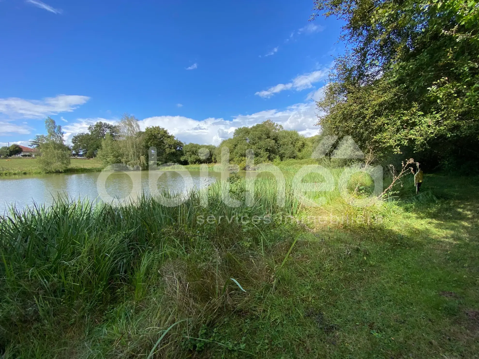 Terrain de loisirs avec deux étangs à Chabrac (16150) - Idéal pour la pêche et la détente 