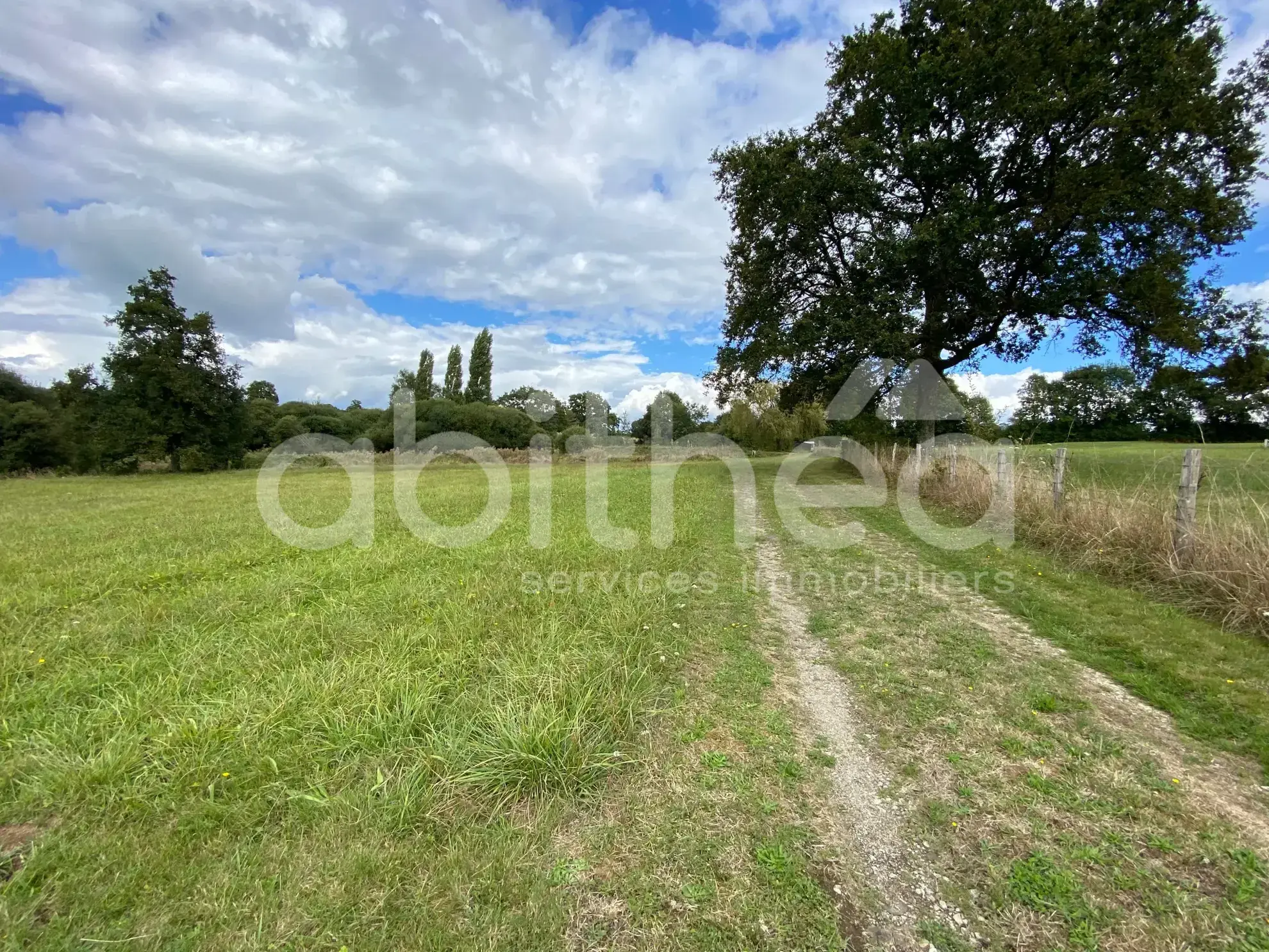 Terrain de loisirs avec deux étangs à Chabrac (16150) - Idéal pour la pêche et la détente 