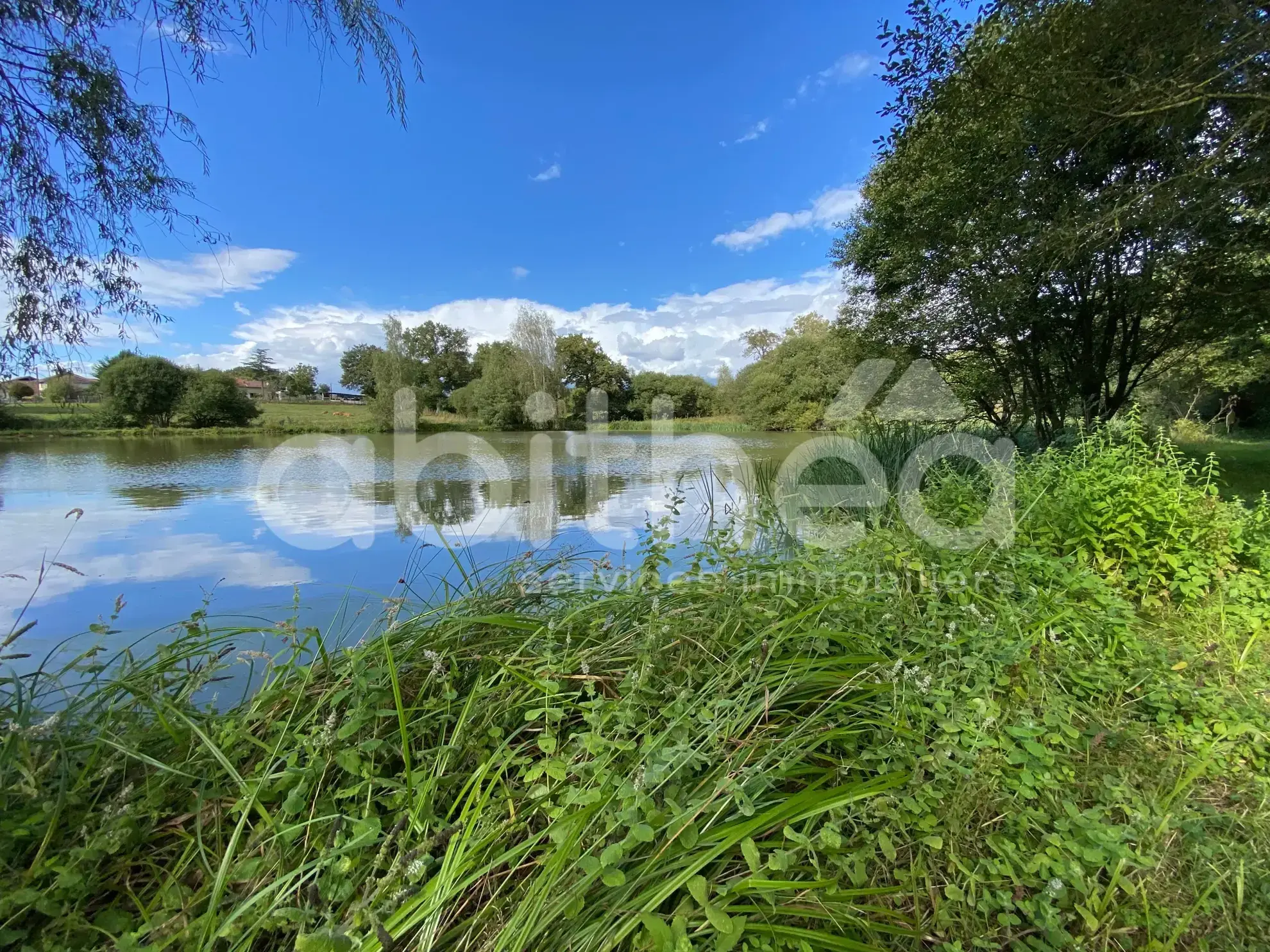 Terrain de loisirs avec deux étangs à Chabrac (16150) - Idéal pour la pêche et la détente 