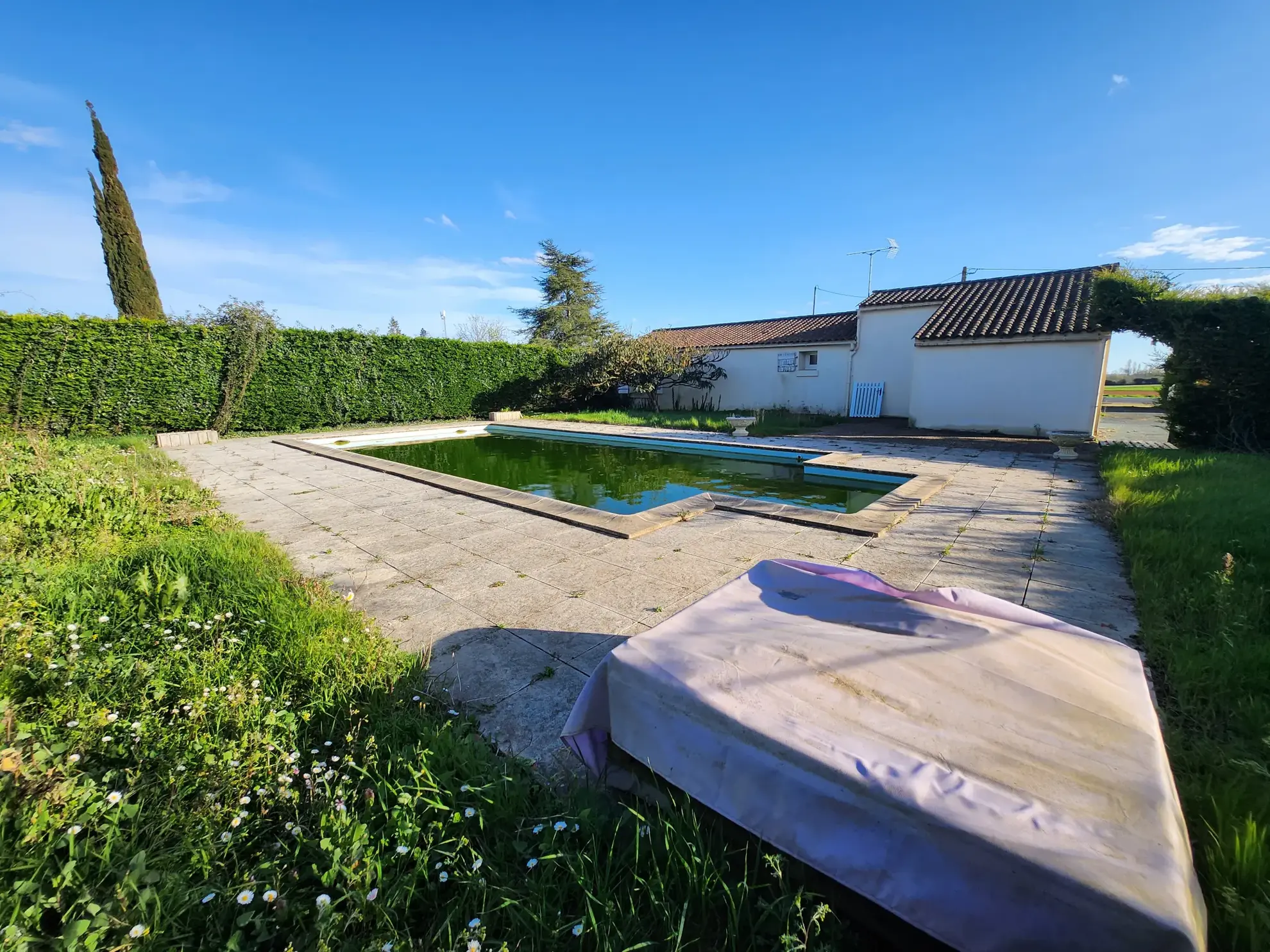 Ensemble immobilier avec deux maisons à Nalliers, piscine et garage près de La Rochelle 