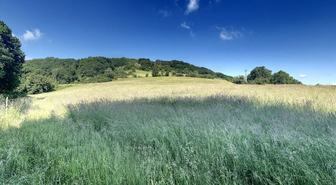 Ferme avec dépendances et terrain de 34 hectares en Dordogne à restaurer 