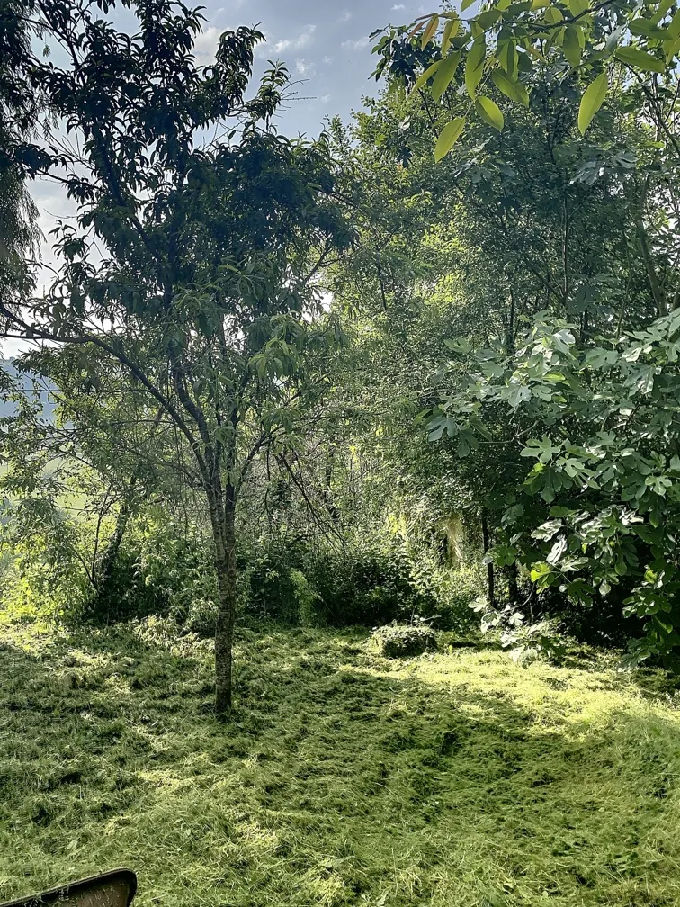 Ferme avec dépendances et terrain de 34 hectares en Dordogne à restaurer 