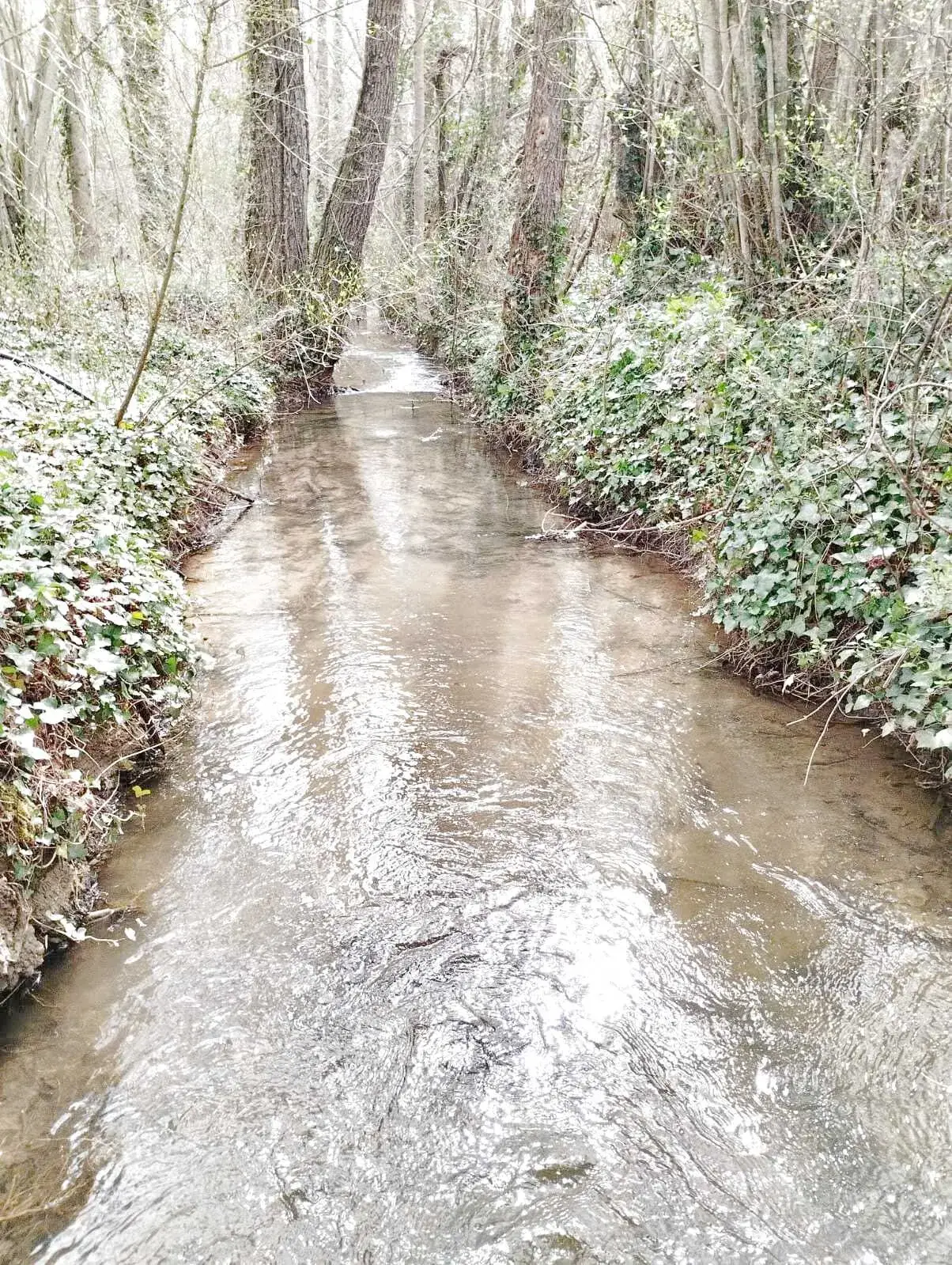 Maison écologique de plain-pied avec 3 chambres à Cazals, secteur calme et proche des commodités 