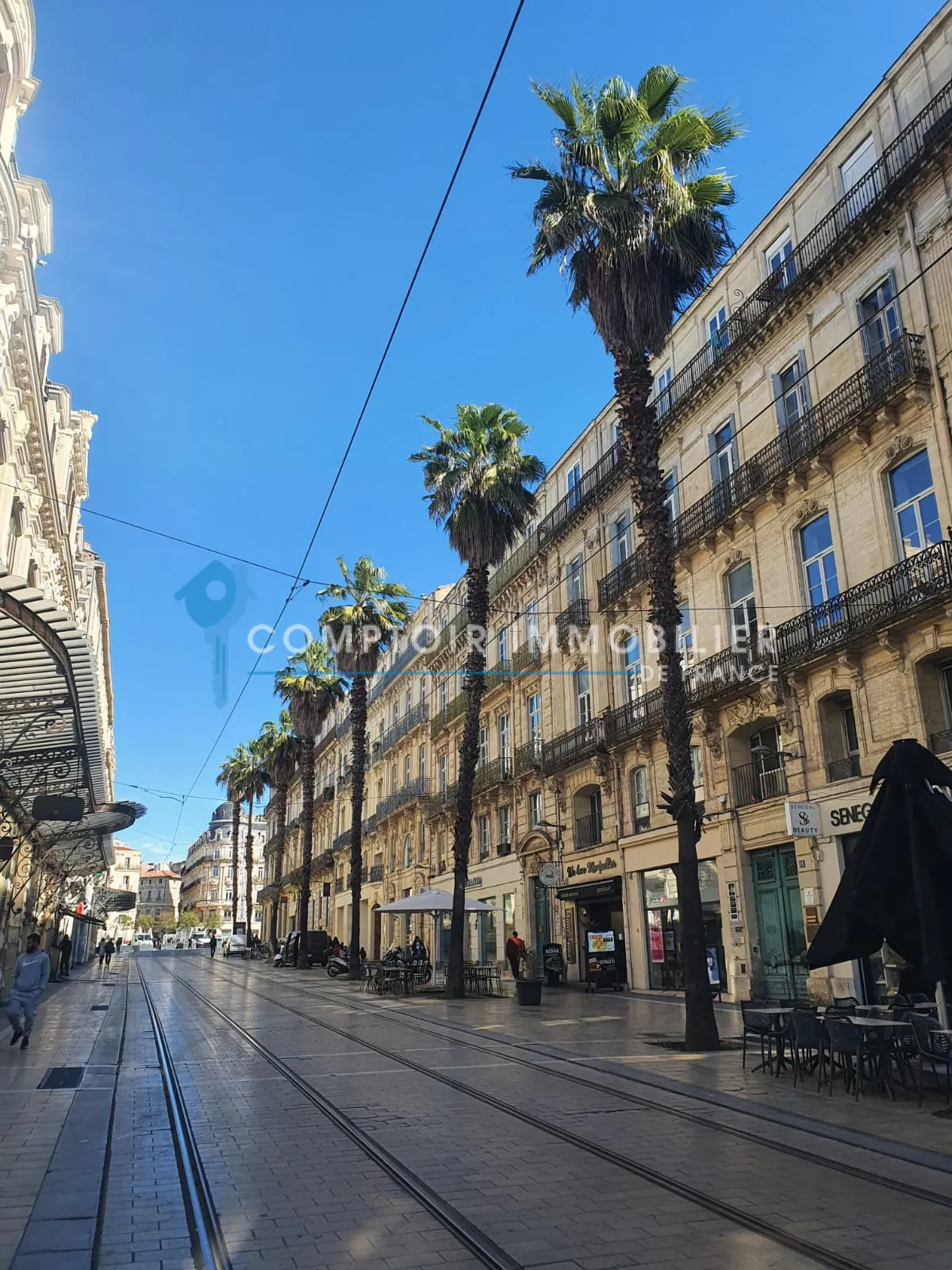 Appartement F5 de 112 m² avec charme ancien à Montpellier - Dernier étage avec cave 