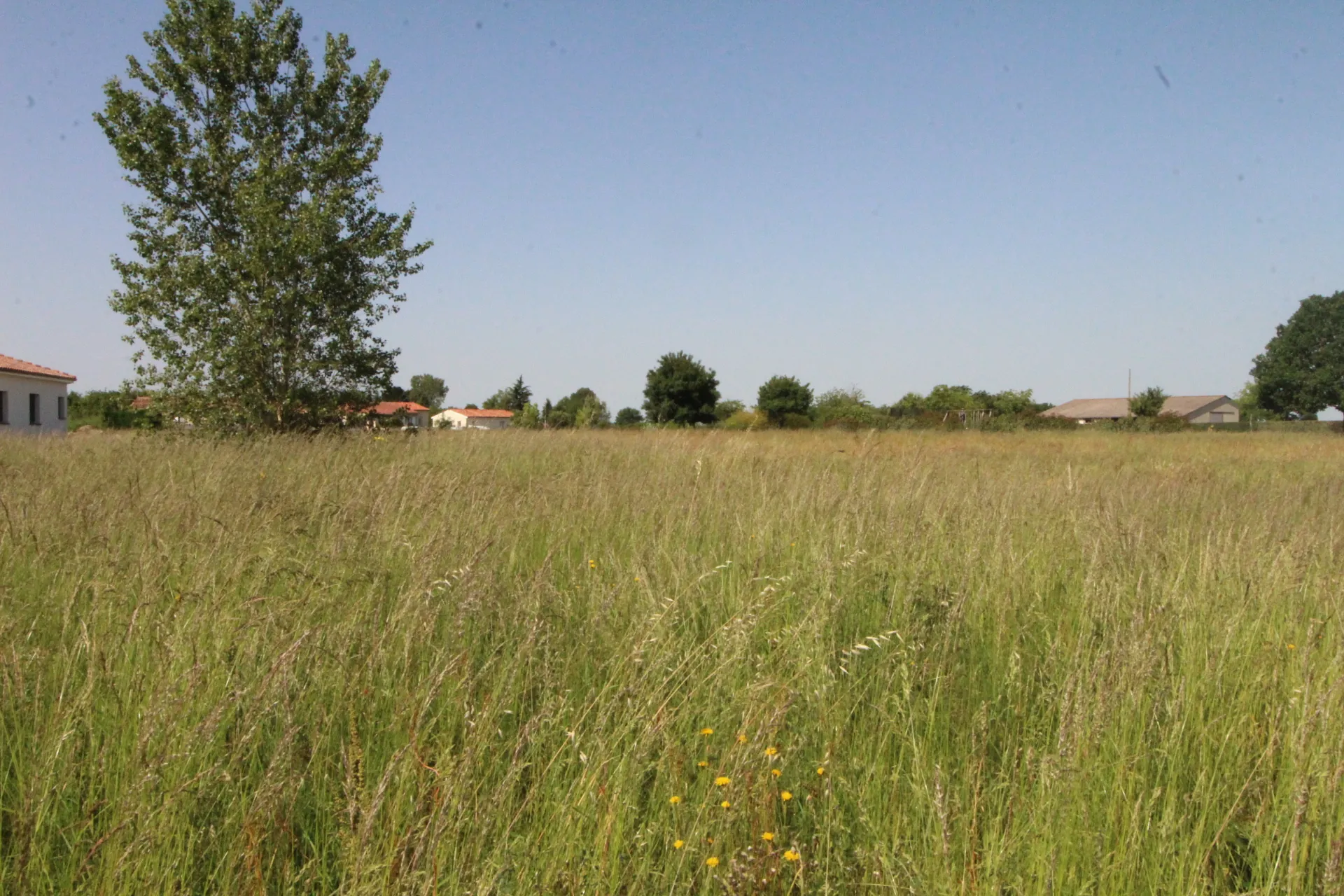 Terrain constructible à Lavit (82), dernier lot disponible de 737 m², calme et viabilisé 