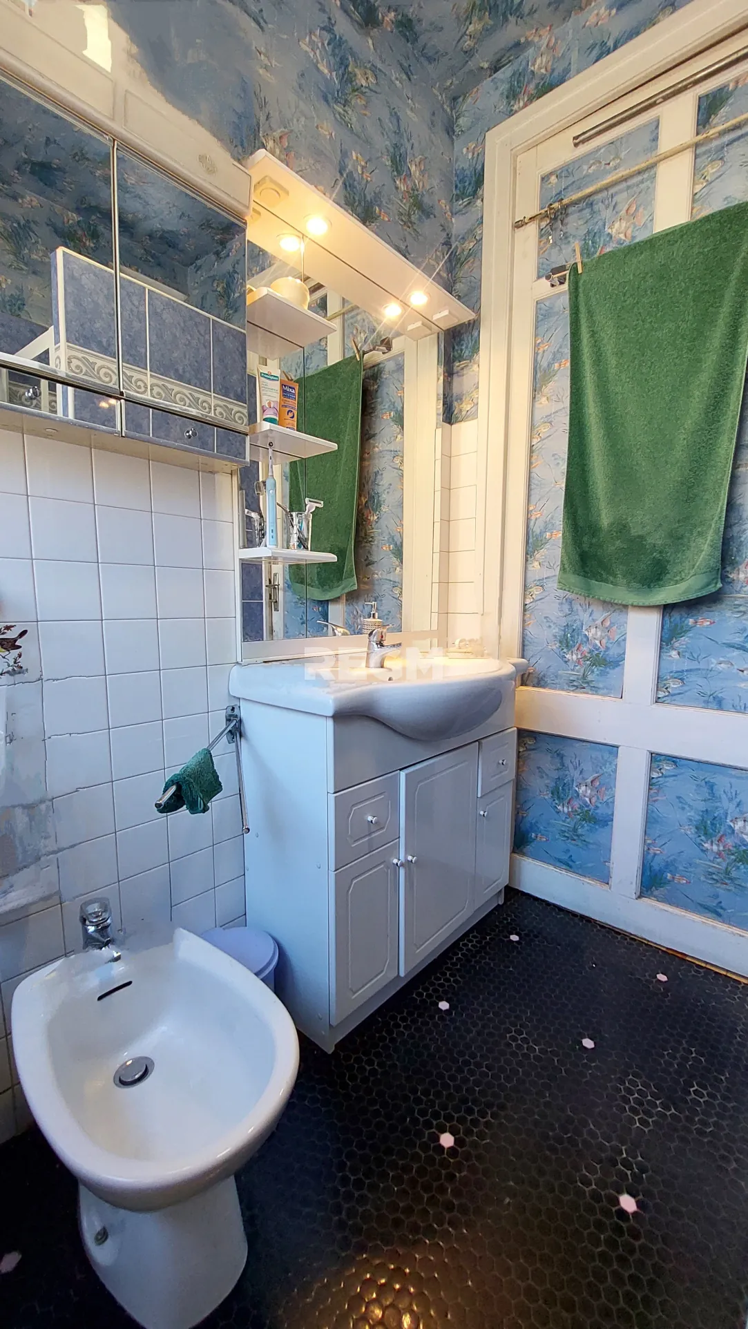 Maison ancienne avec jardin, garages et potentiel de rénovation à Gelos 