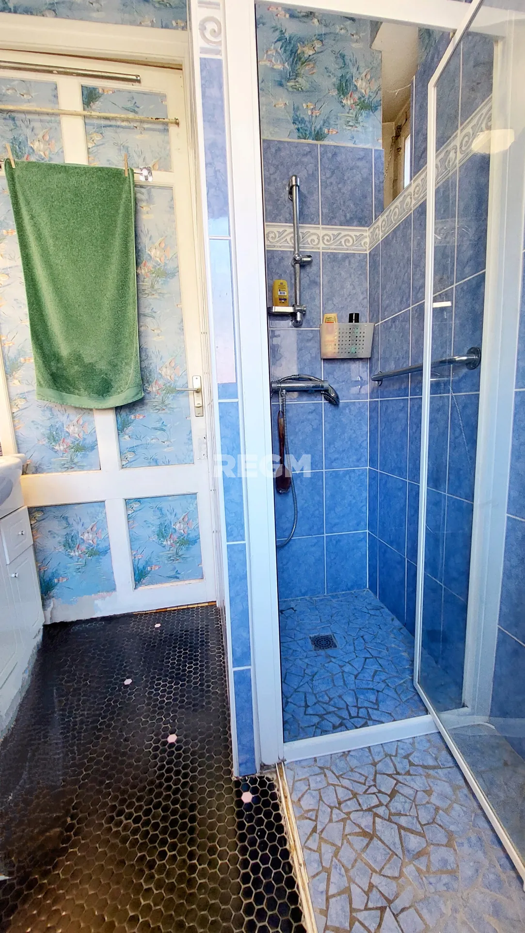 Maison ancienne avec jardin, garages et potentiel de rénovation à Gelos 