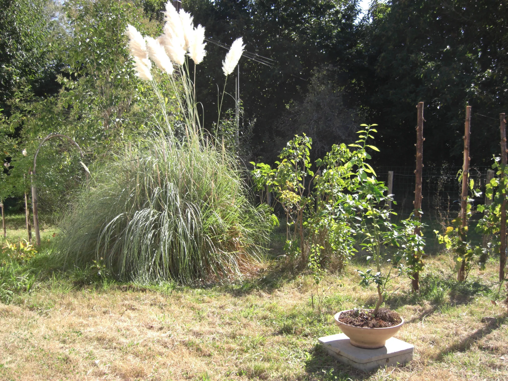 Maison en pierre 3 chambres avec jardin dans le PNR Périgord-Limousin 