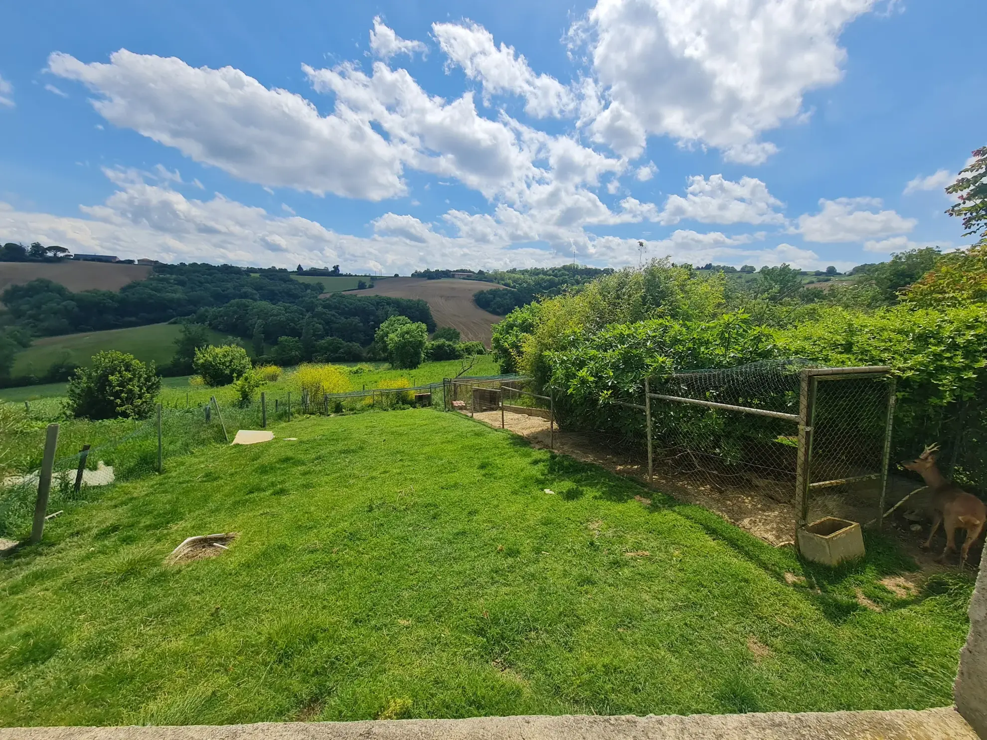 Maison de campagne avec piscine à Lézat-sur-Lèze – Vue dominante et terrain de 6500 m² 