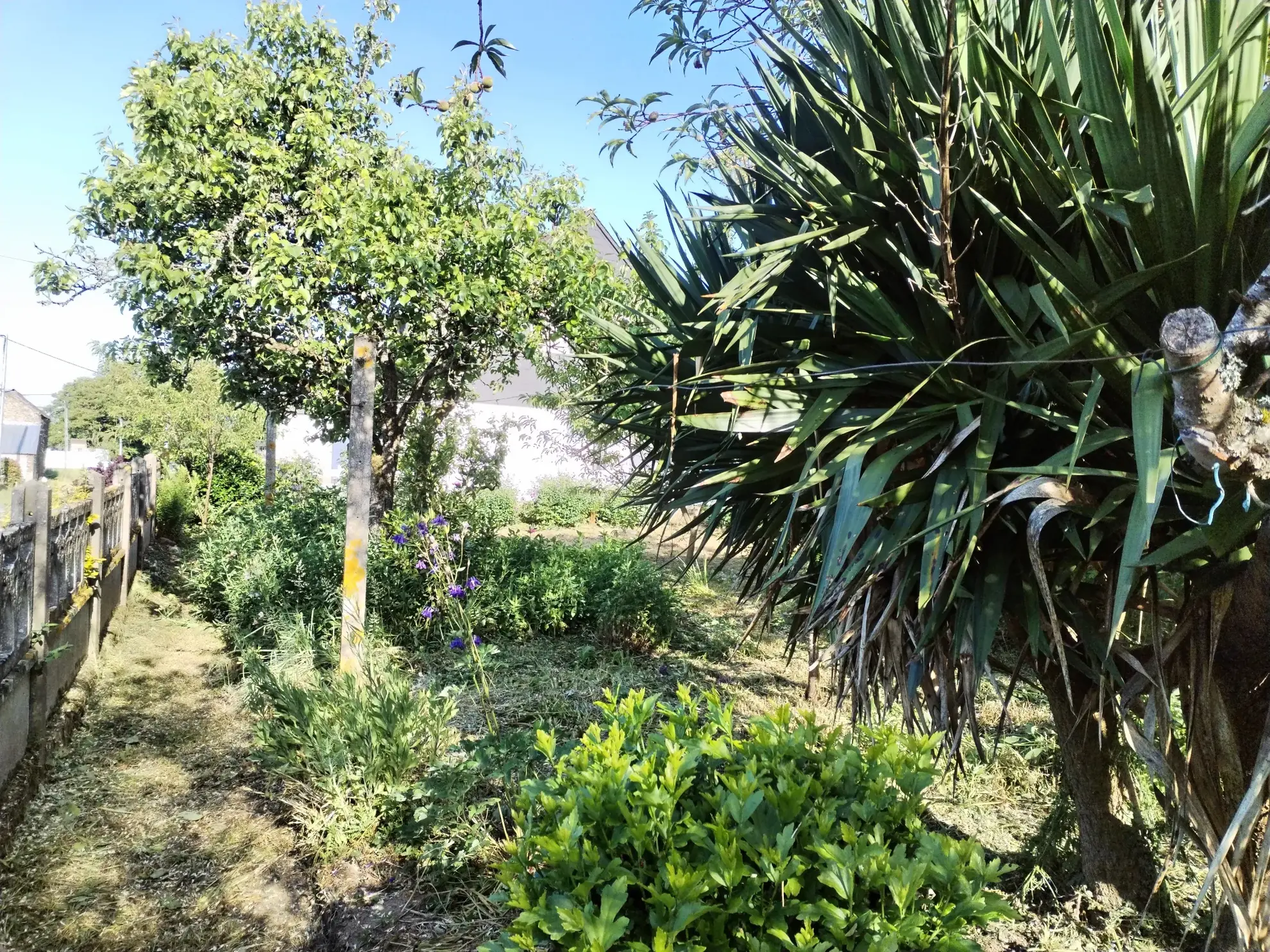 Maison ancienne à rénover avec grand terrain à Romagné (35) 