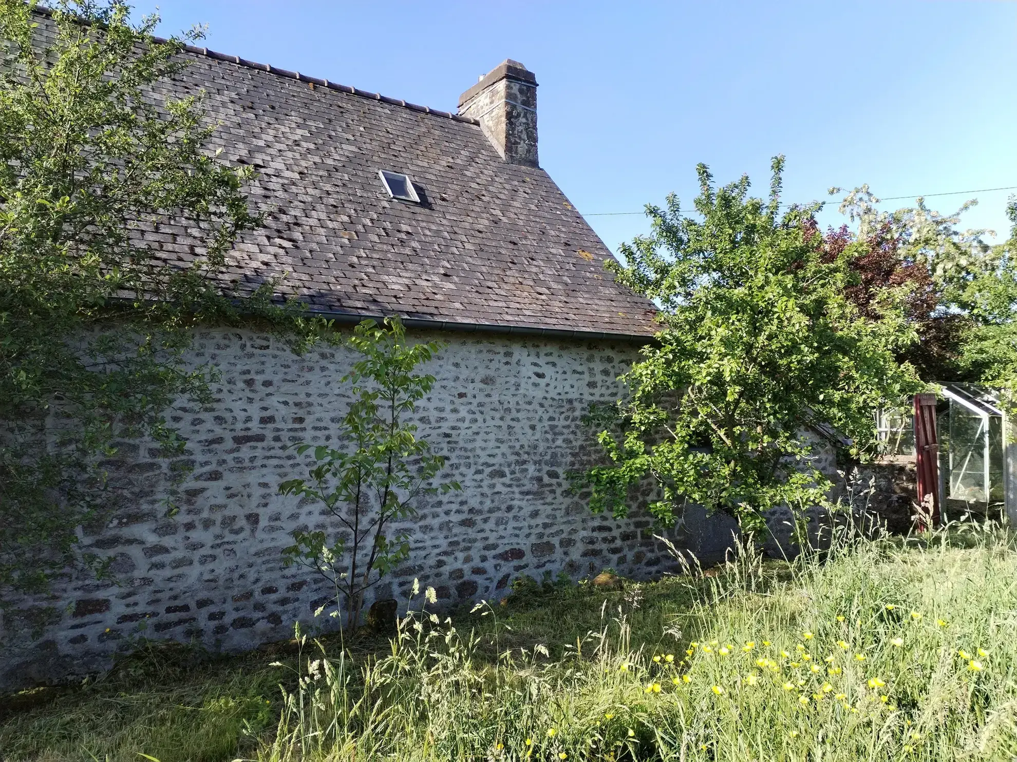 Maison ancienne à rénover avec grand terrain à Romagné (35) 
