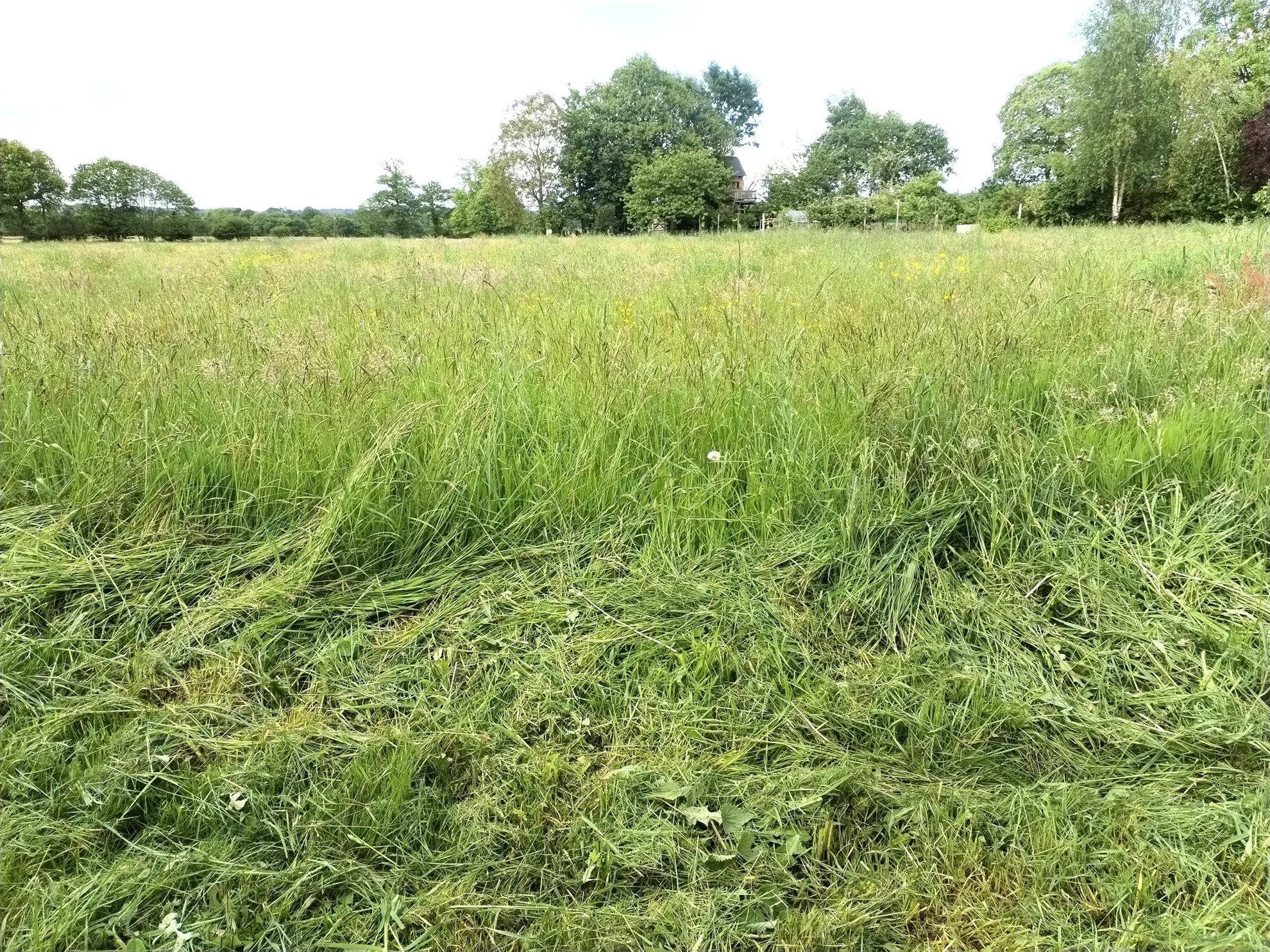 Maison ancienne à rénover avec grand terrain à Romagné (35) 