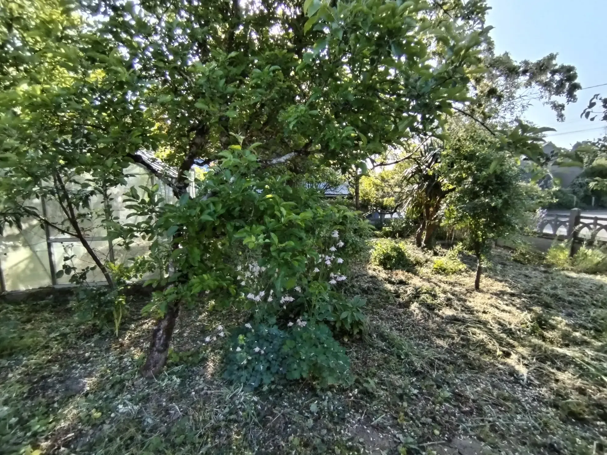 Maison ancienne à rénover avec grand terrain à Romagné (35) 