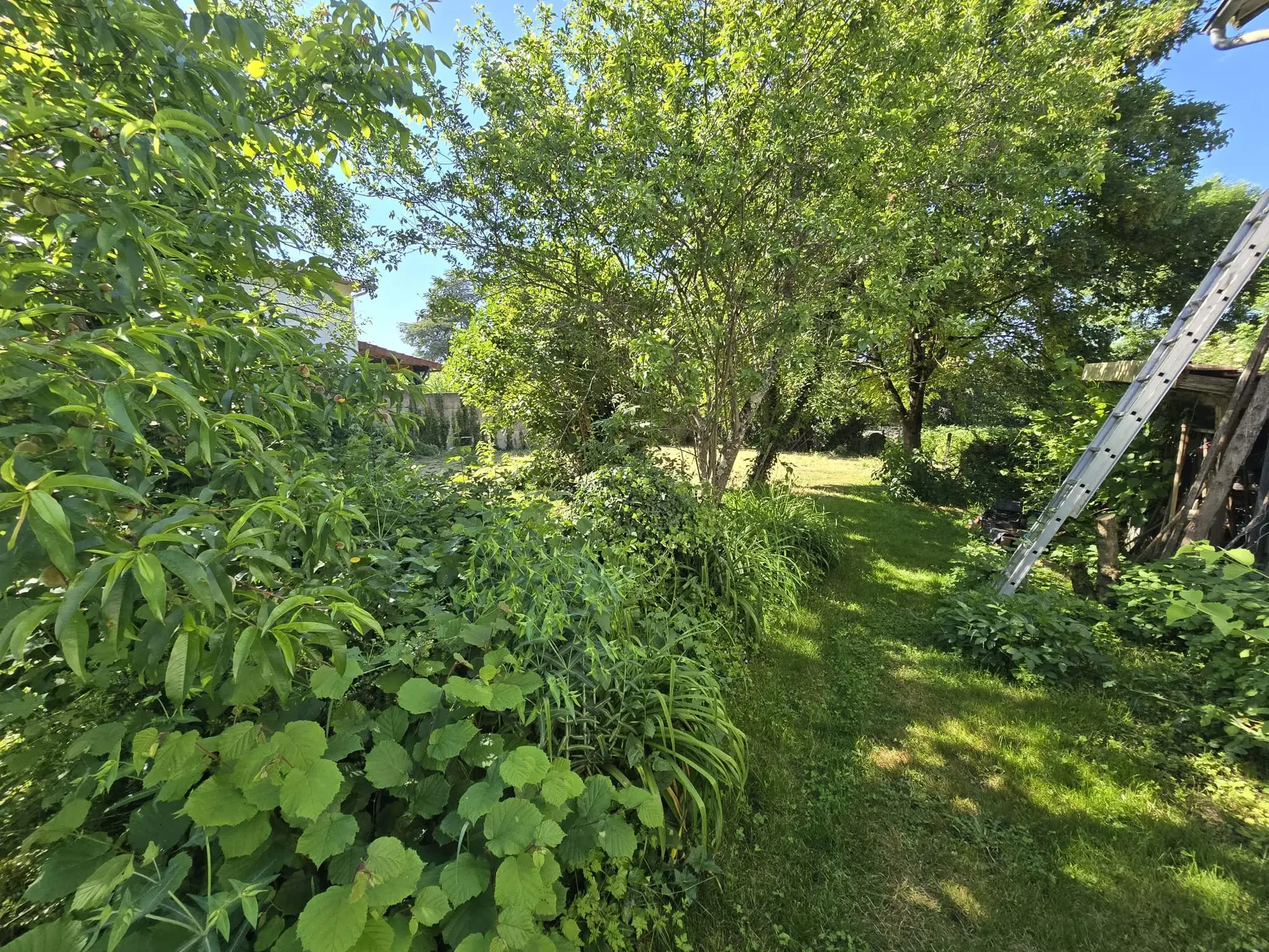 Maison à rénover de 85 m² à Panazol avec grand terrain de 1000 m² 