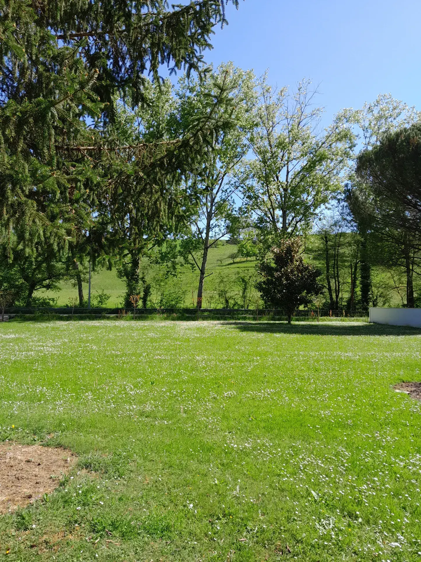 Ancienne bâtisse à réhabiliter à Moissac – projet polyvalent en campagne 