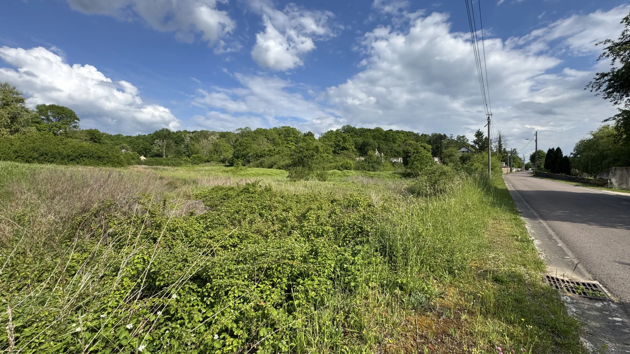 Terrain constructible de 8 206 m² à L’Isle-sur-Serein, idéal pour votre maison