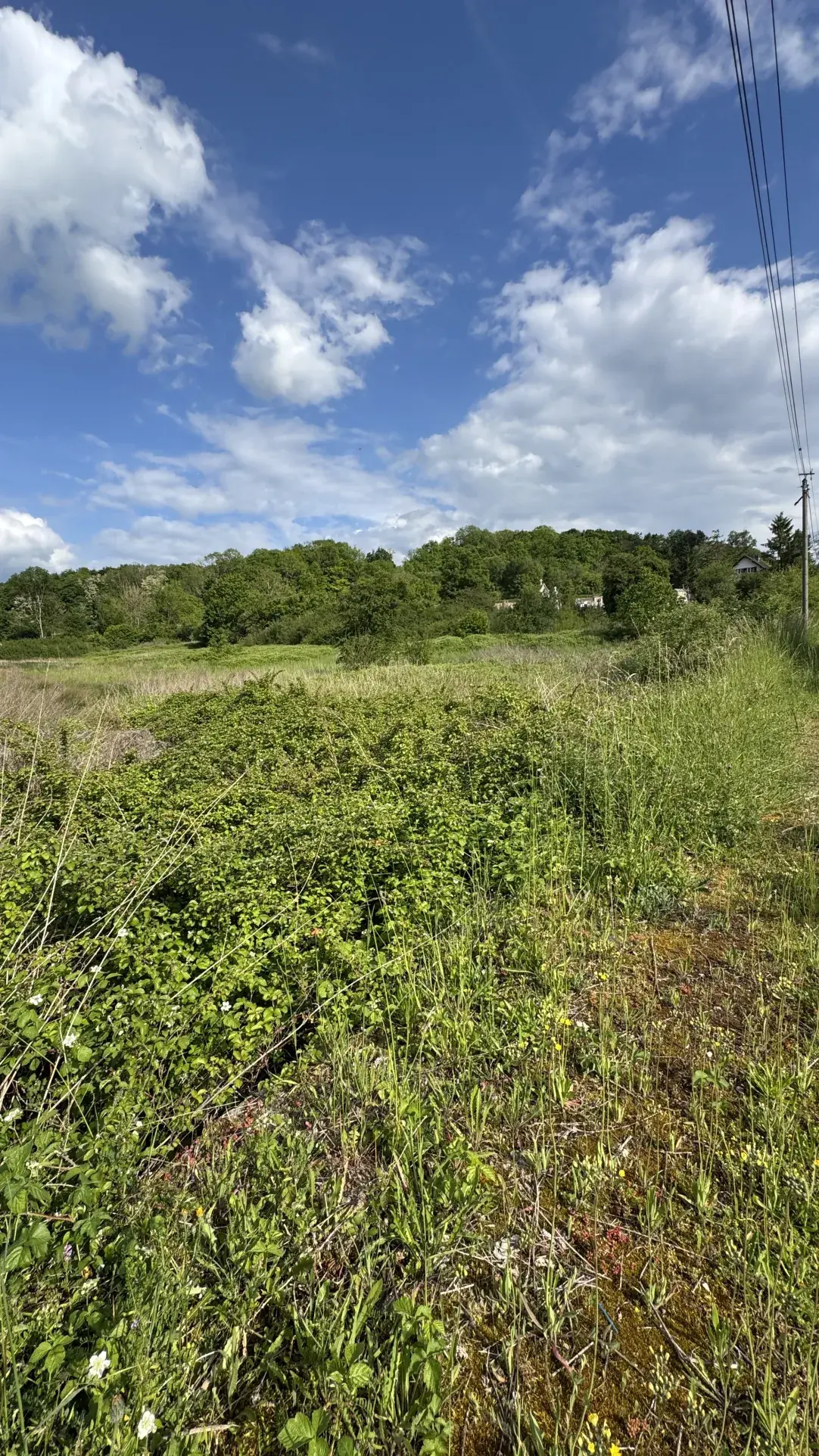 Terrain constructible de 8 206 m² à L’Isle-sur-Serein, idéal pour votre maison 