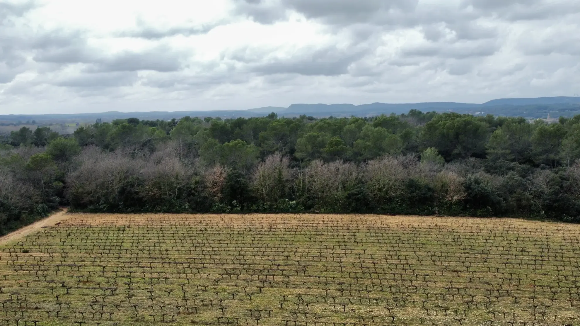 Grand terrain agricole de 117 200 m² à Fontanes, proche Sommières 