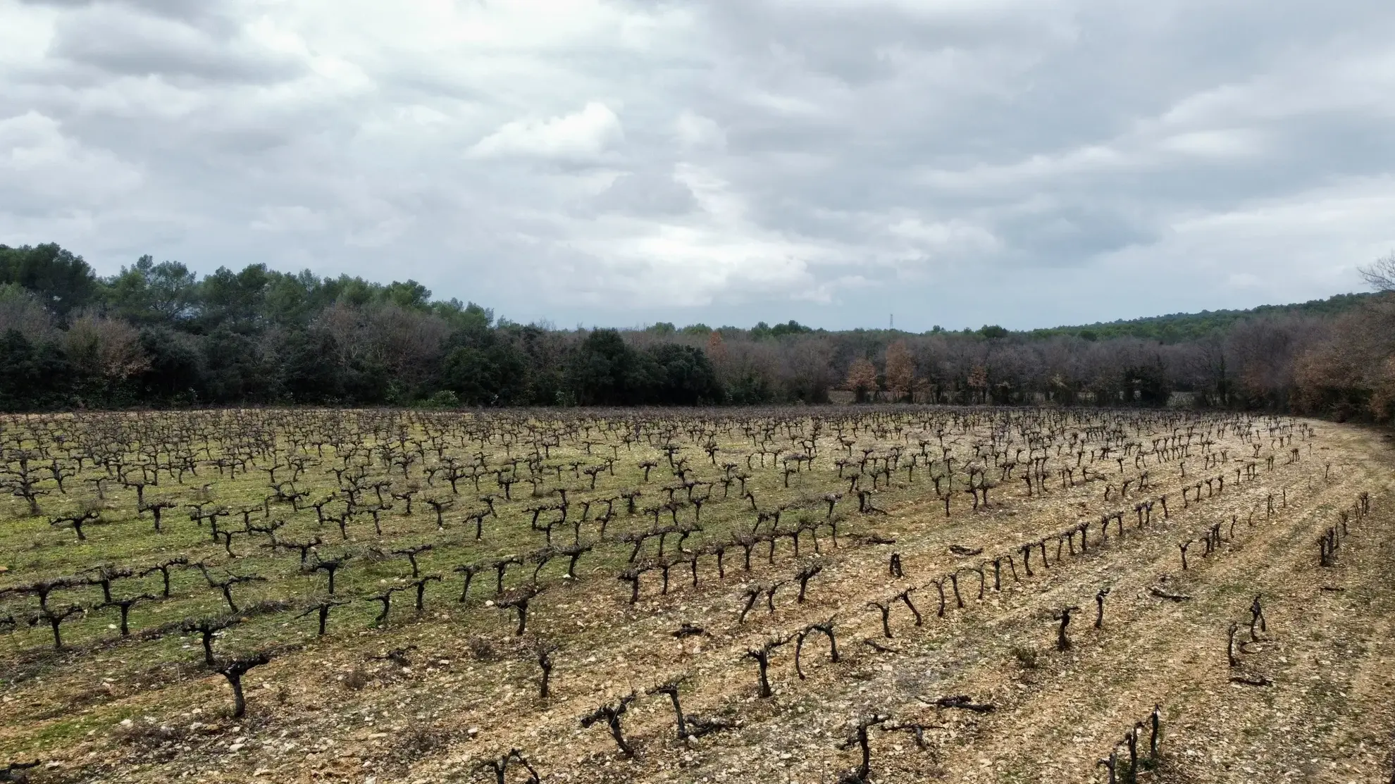 Grand terrain agricole de 117 200 m² à Fontanes, proche Sommières 