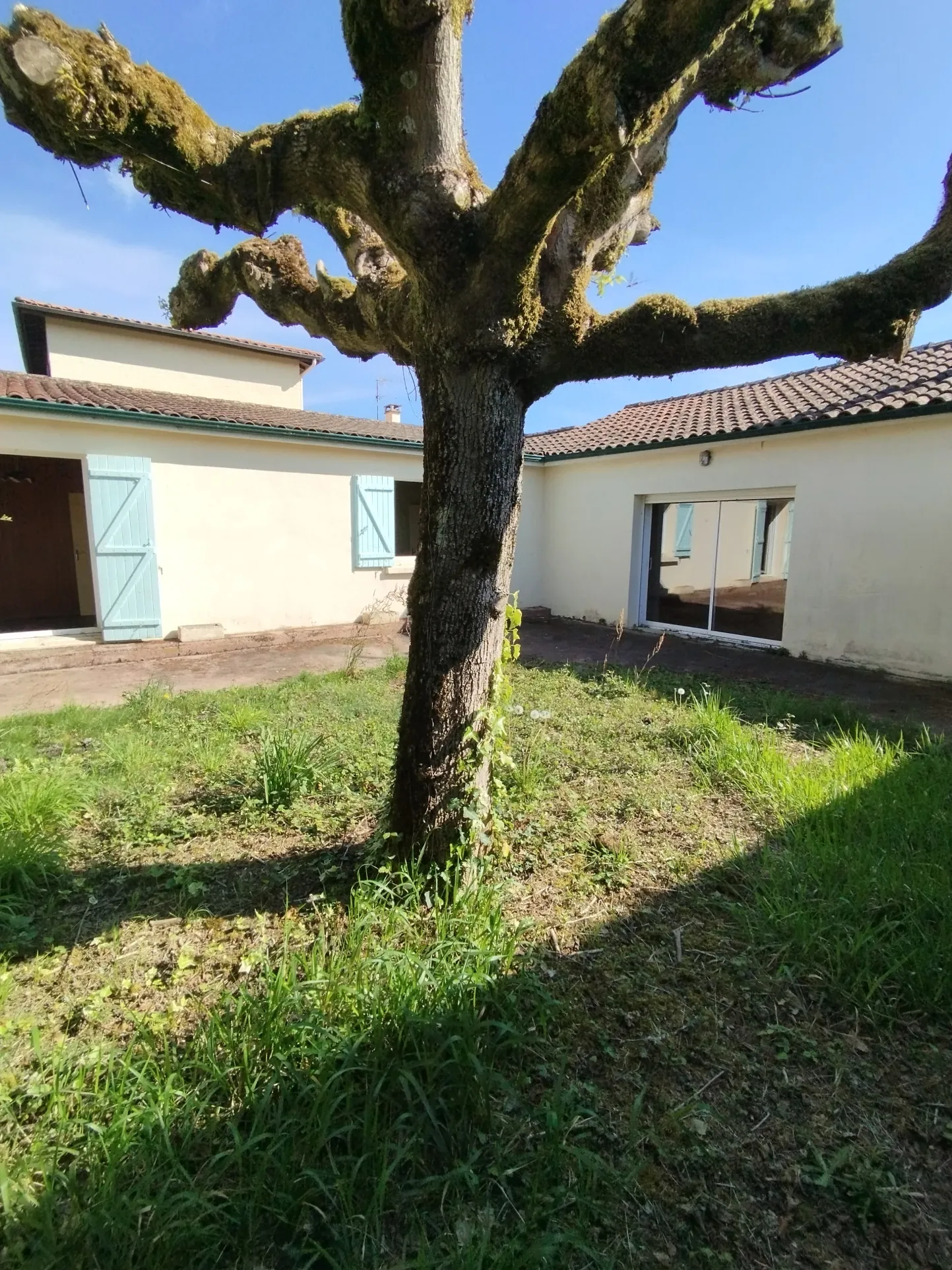 Maison avec local commercial à Bergerac, jardin, terrasse et potentiel d’investissement 