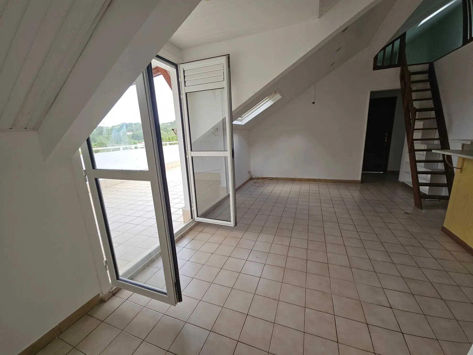 Appartement F3 avec mezzanine et terrasse à Ducos - Vente immobilière 