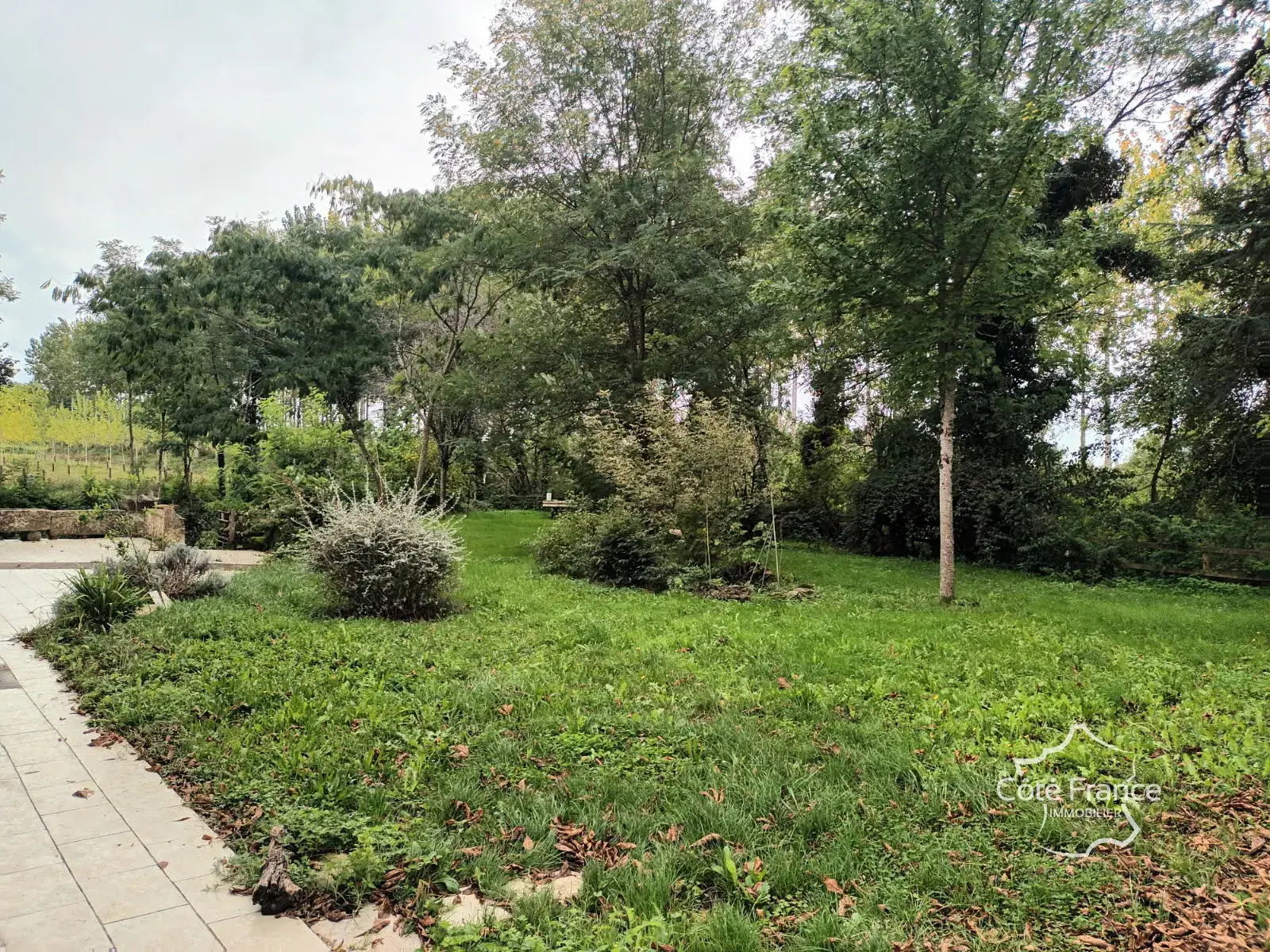 Charmante maison en pierre avec dépendances et grand terrain à Lamothe-Landerron 