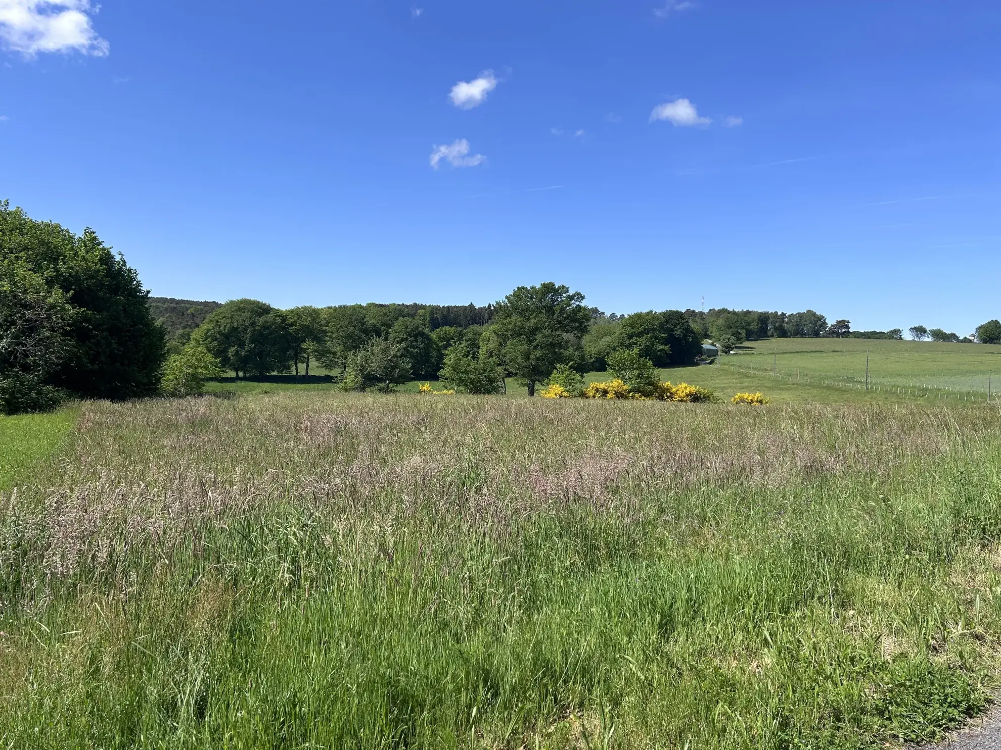 Terrain à bâtir de plus de 2400 m² à Mercoeur avec vue panoramique