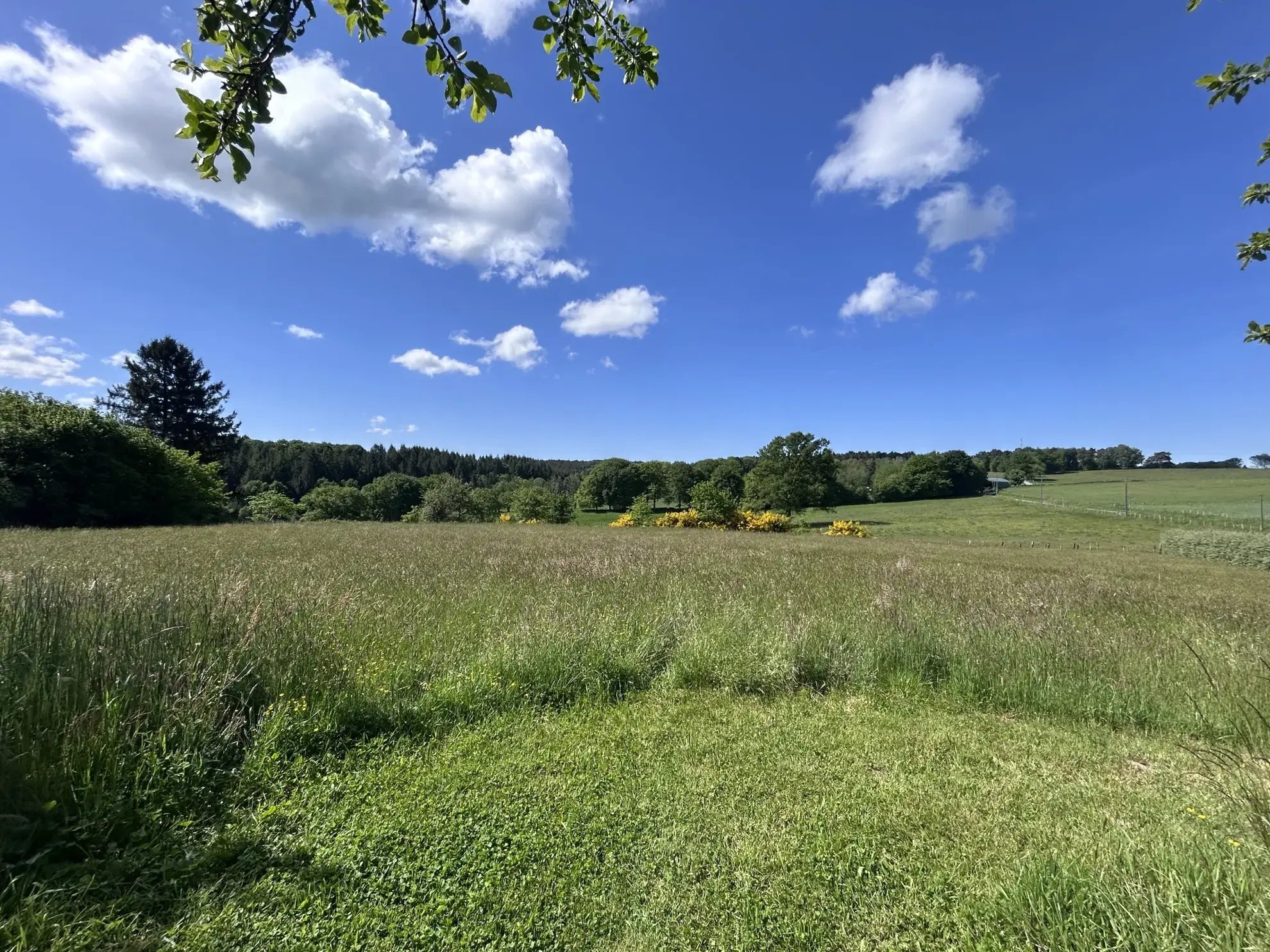 Terrain à bâtir de plus de 2400 m² à Mercoeur avec vue panoramique 