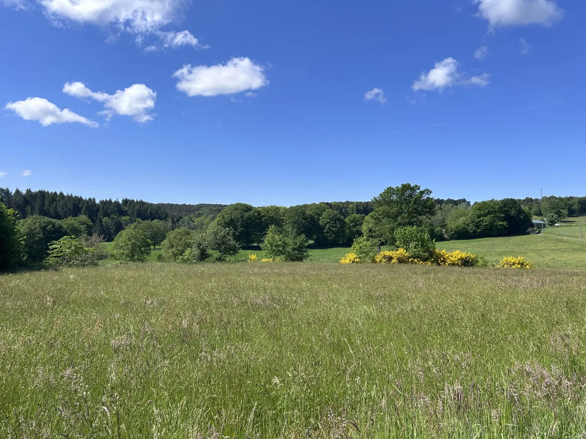 Terrain à bâtir de plus de 2400 m² à Mercoeur avec vue panoramique 
