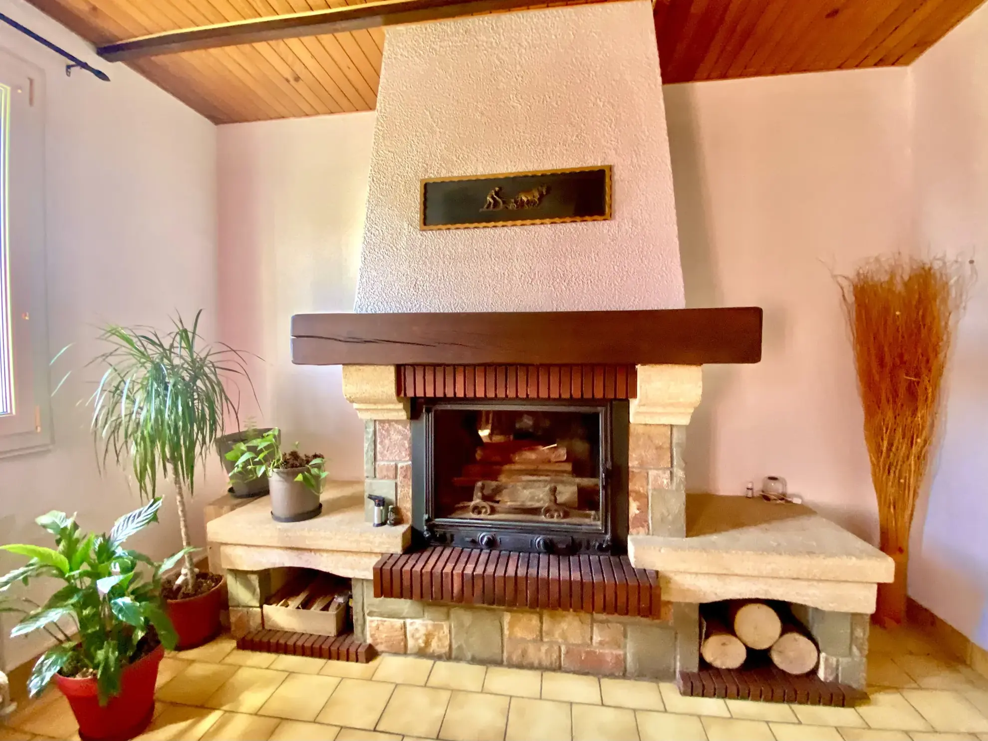 Grand maison de 171 m² avec terrain de 822 m² à Annonay, potentiel pour famille ou investissement 