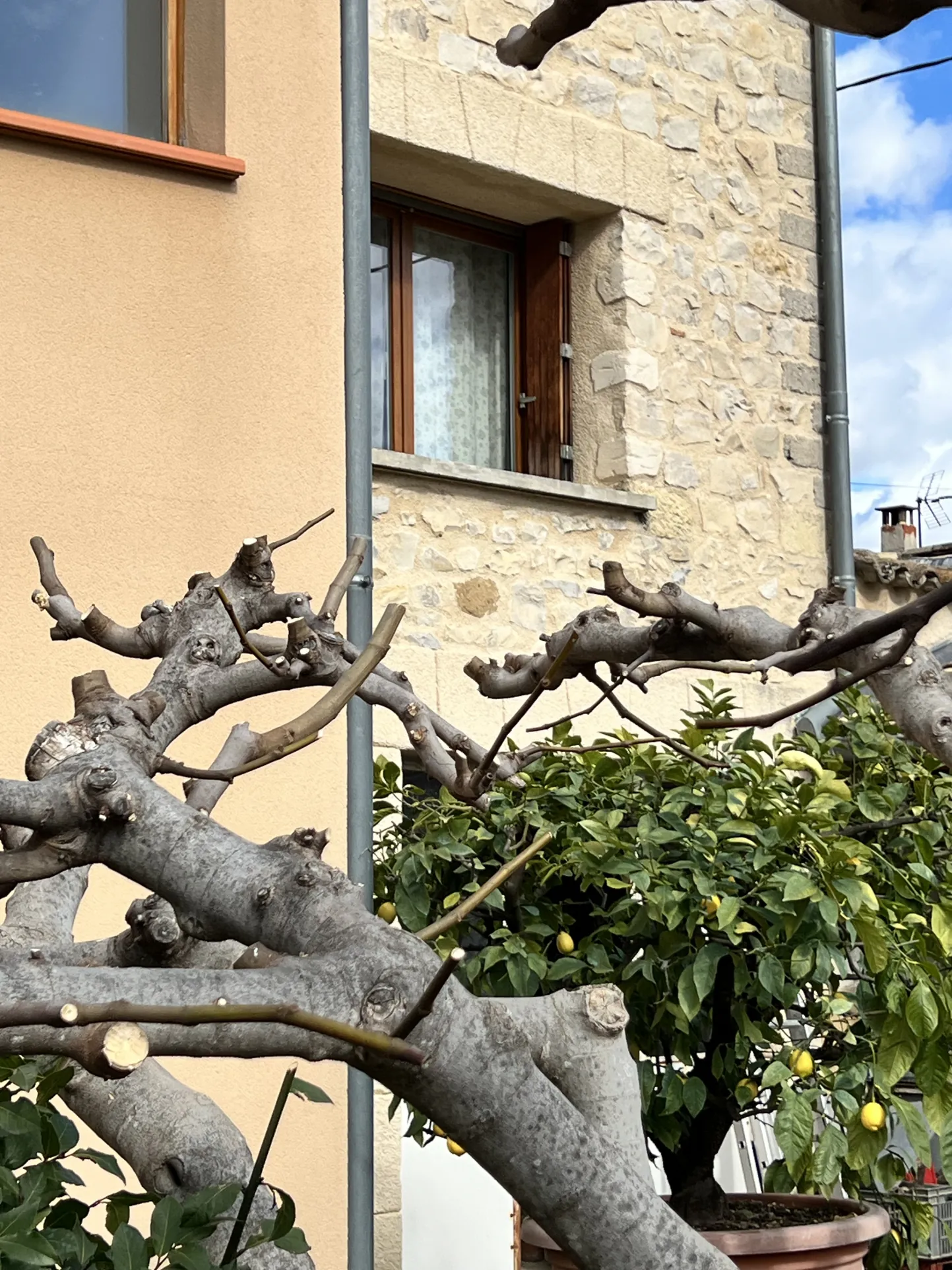 Maison en pierre avec jardin, dépendances et vue sur la cité médiévale à Vaison-la Romaine 
