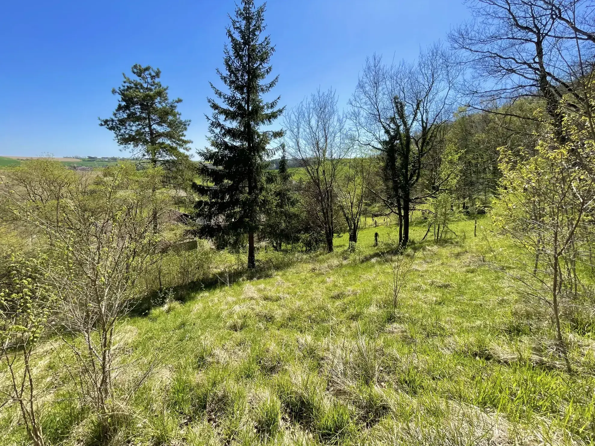 Maison de charme à Merry-Sec avec jardin et potentiel d’aménagement, proche d'Auxerre 
