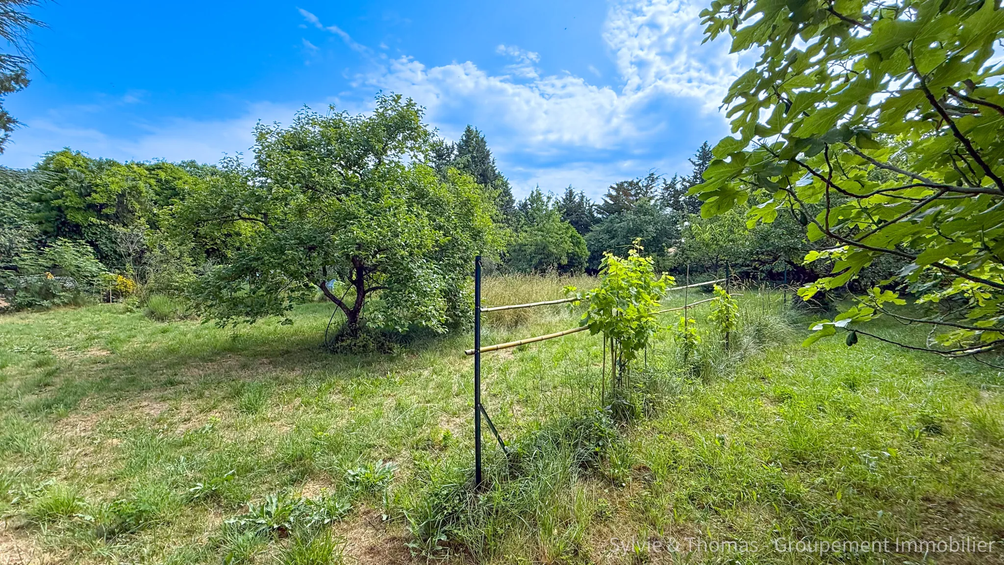 Maison à vendre à Orange avec grand terrain et potentiel, proche du centre-ville 