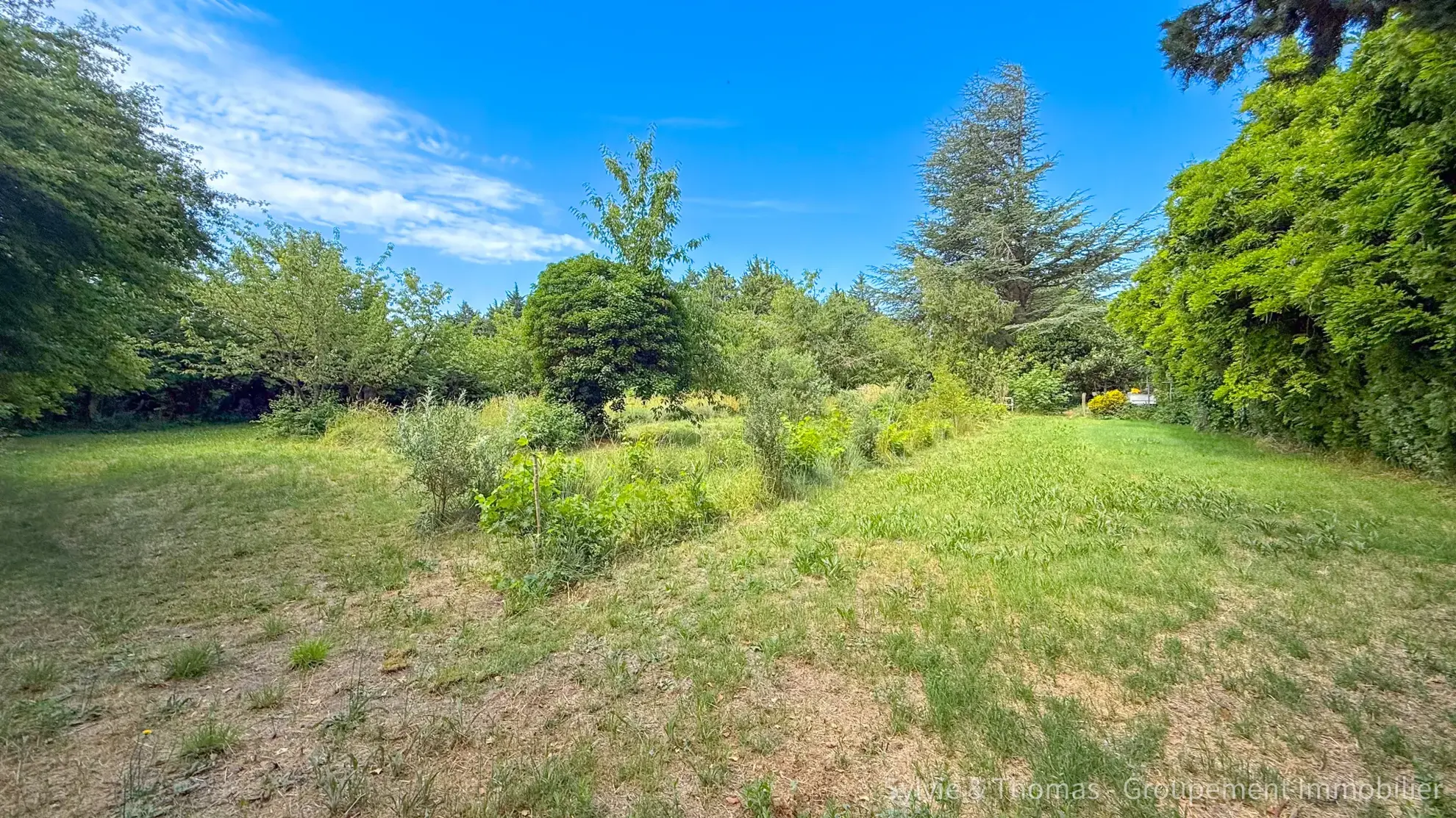 Maison à vendre à Orange avec grand terrain et potentiel, proche du centre-ville 