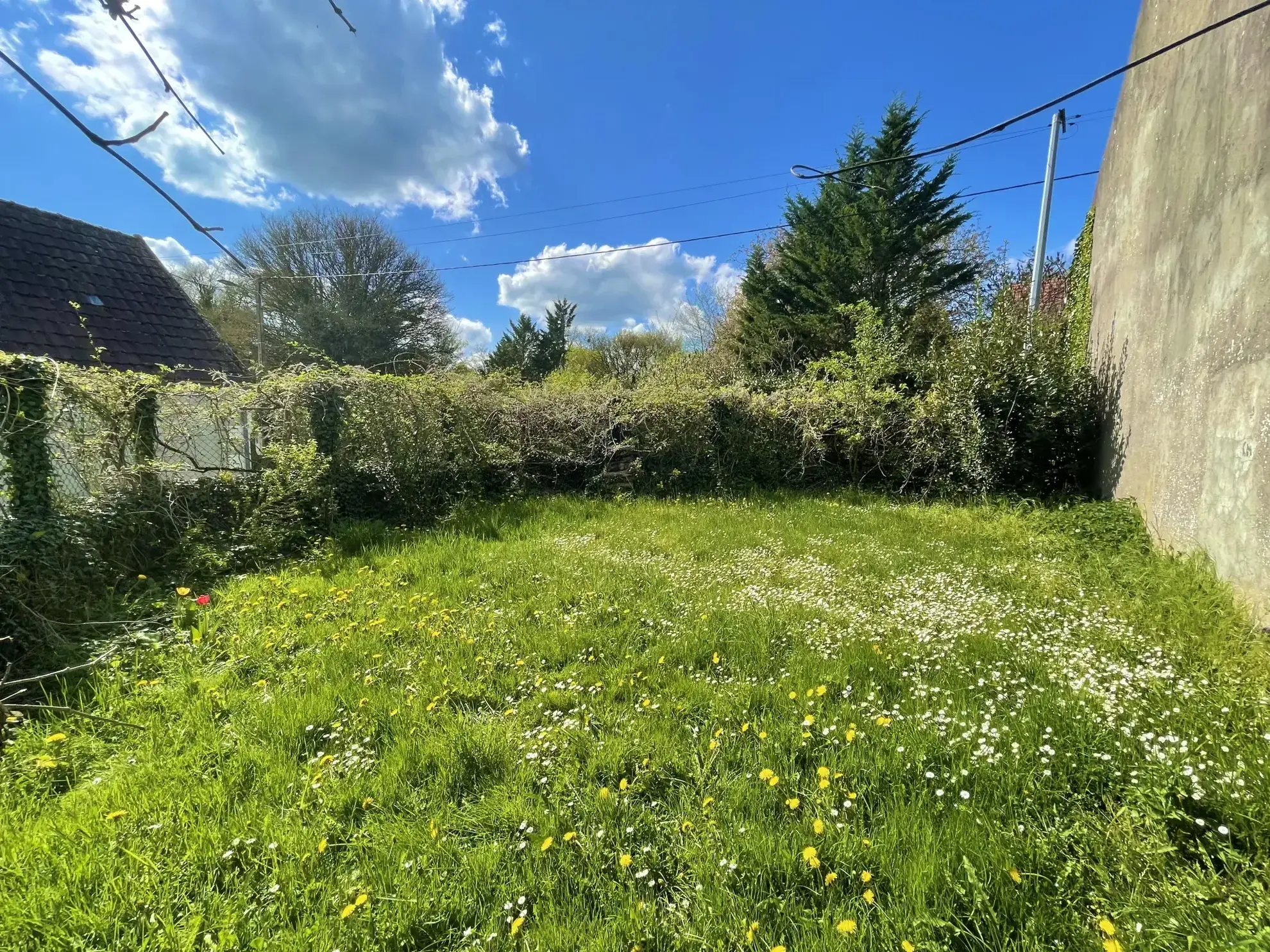 Charmante longère de 113 m² à Courson-les-Carrières avec potentiel d'aménagement 