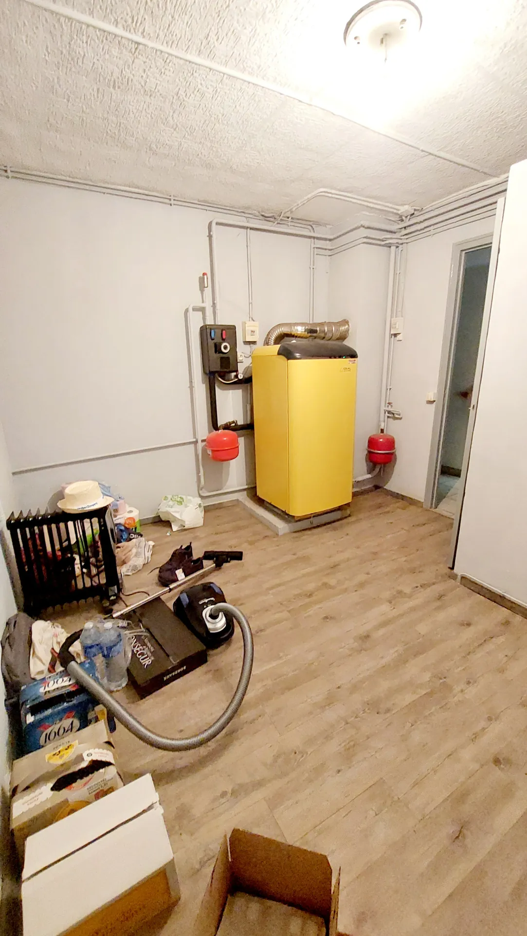 Maison familiale de 168 m² avec jardin, garages et deux logements proche de La Reole 