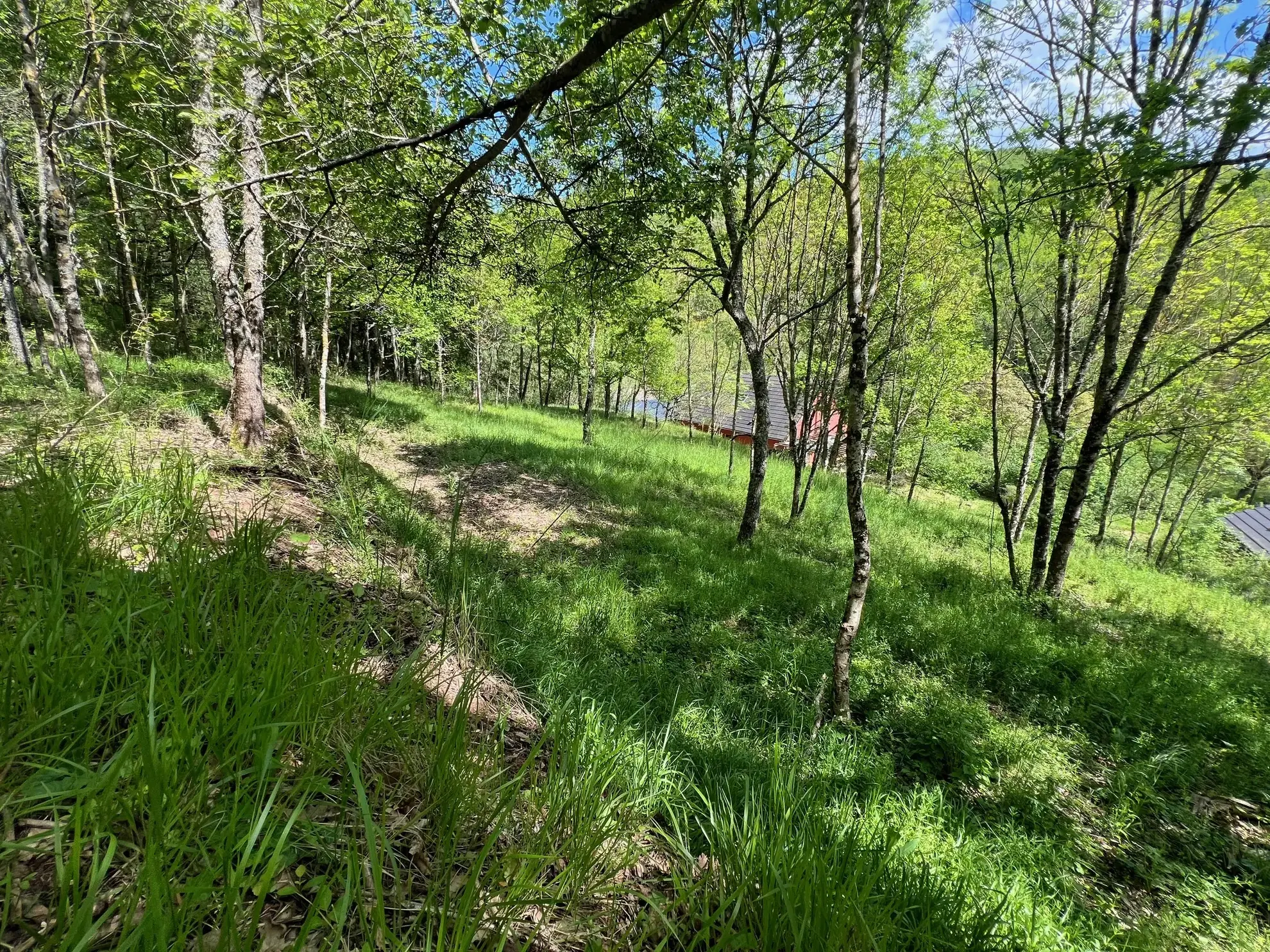 Terrain constructible boisé de 2076 m² à Saint Beauzely - Vue dégagée 