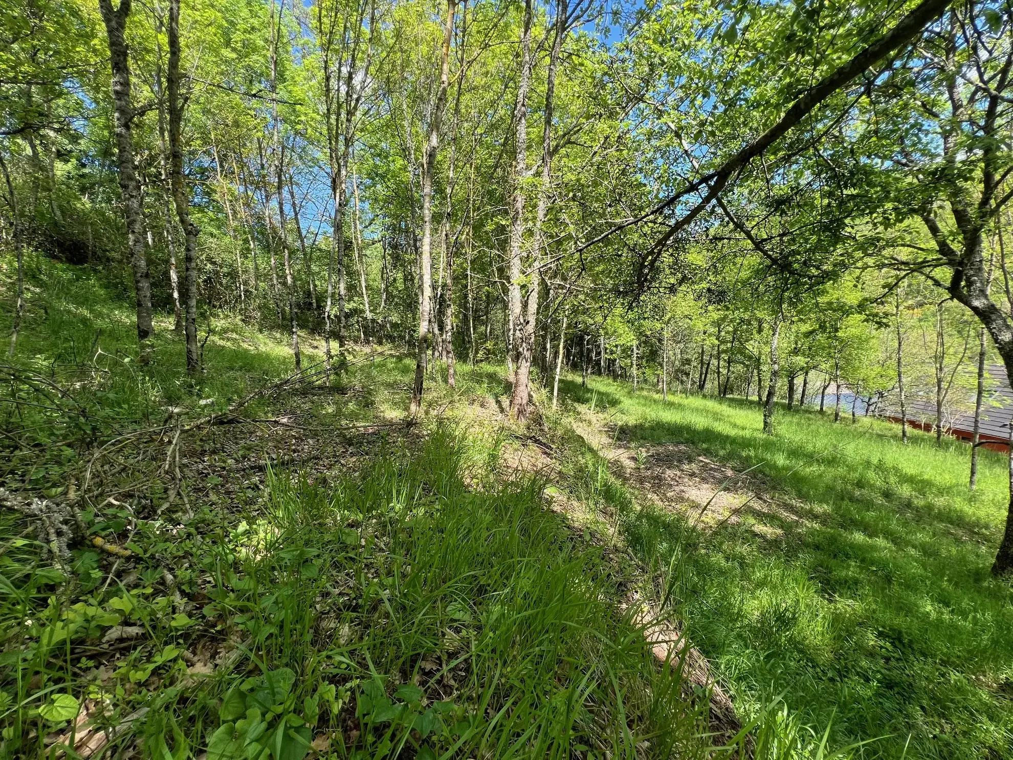 Terrain constructible boisé de 2076 m² à Saint Beauzely - Vue dégagée 