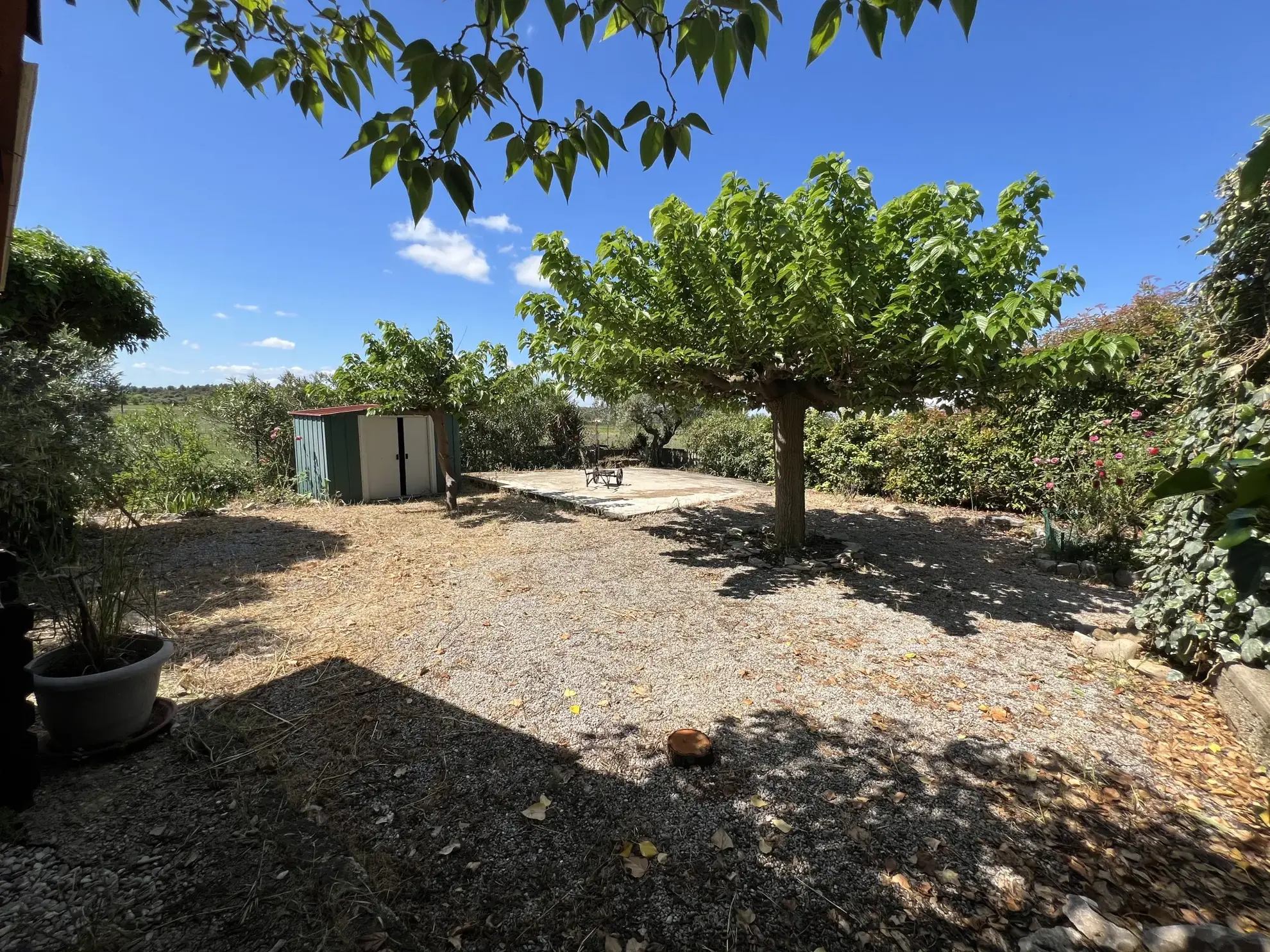 Terrain de loisir avec oliviers à Saint Jean de Fos - Vue montagne 
