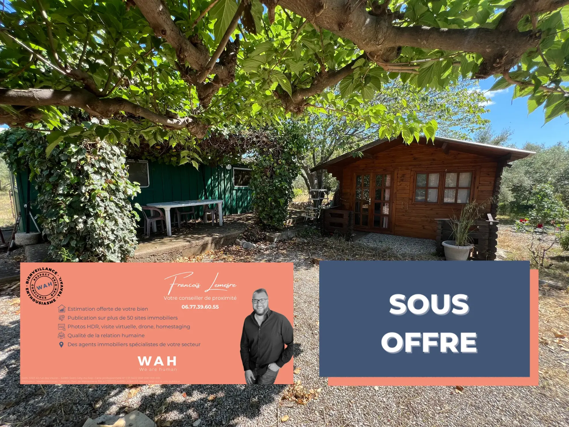 Terrain de loisir avec oliviers à Saint Jean de Fos - Vue montagne 