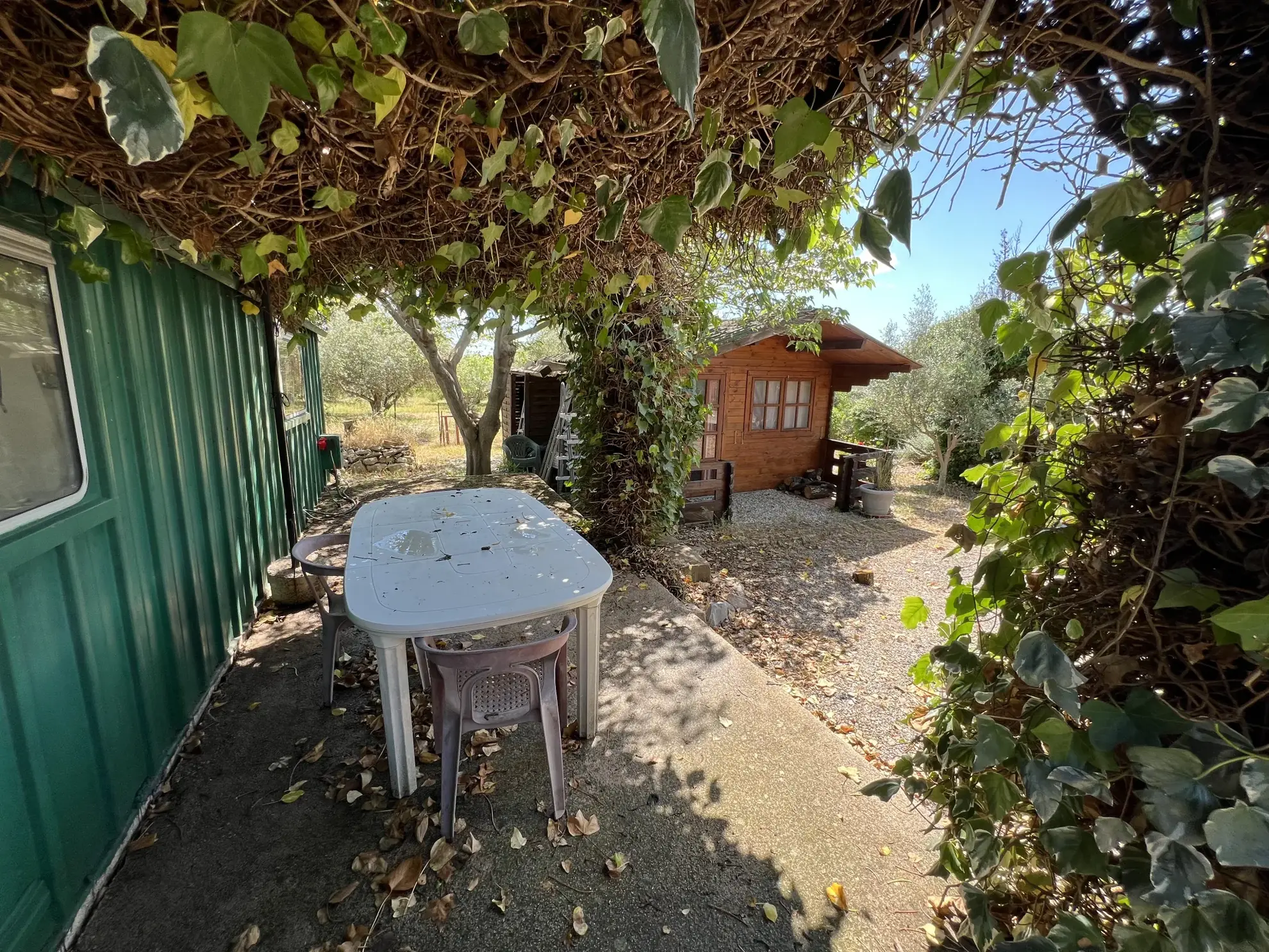 Terrain de loisir avec oliviers à Saint Jean de Fos - Vue montagne 