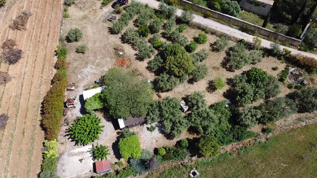 Terrain de loisir avec oliviers à Saint Jean de Fos - Vue montagne 