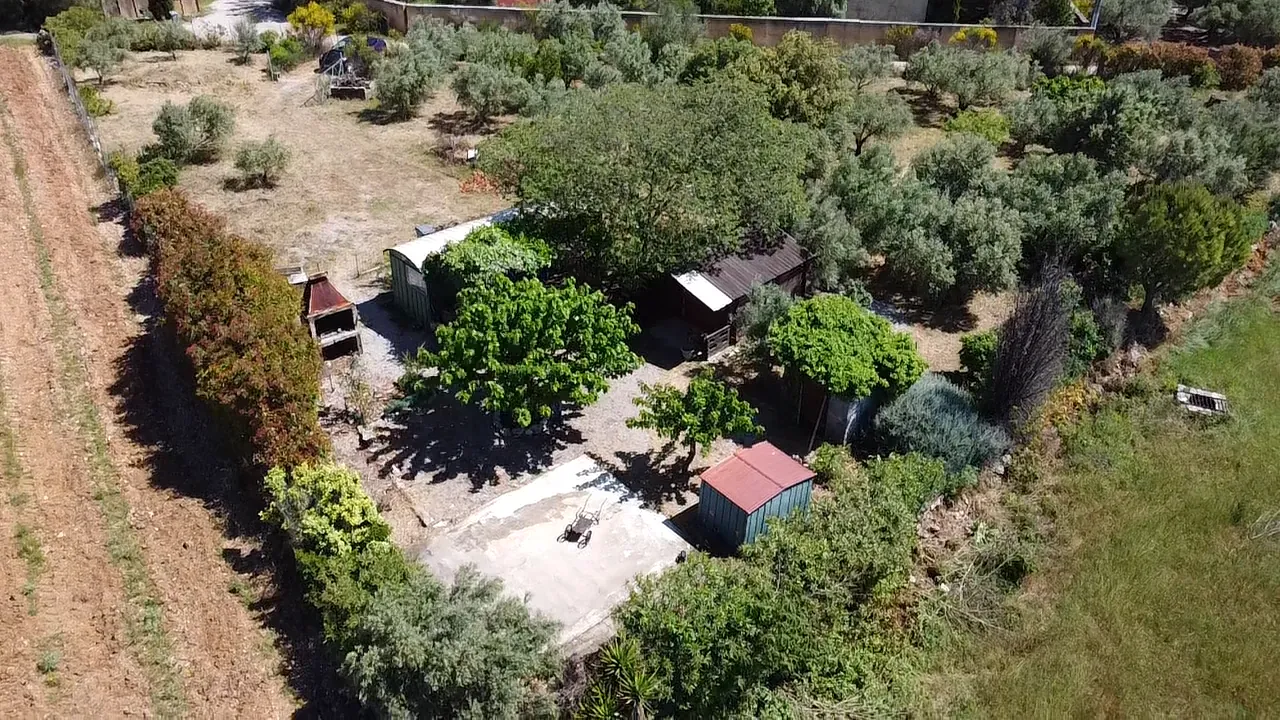Terrain de loisir avec oliviers à Saint Jean de Fos - Vue montagne 