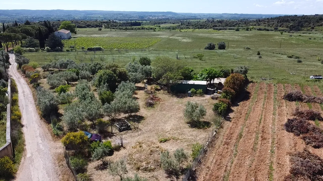 Terrain de loisir avec oliviers à Saint Jean de Fos - Vue montagne
