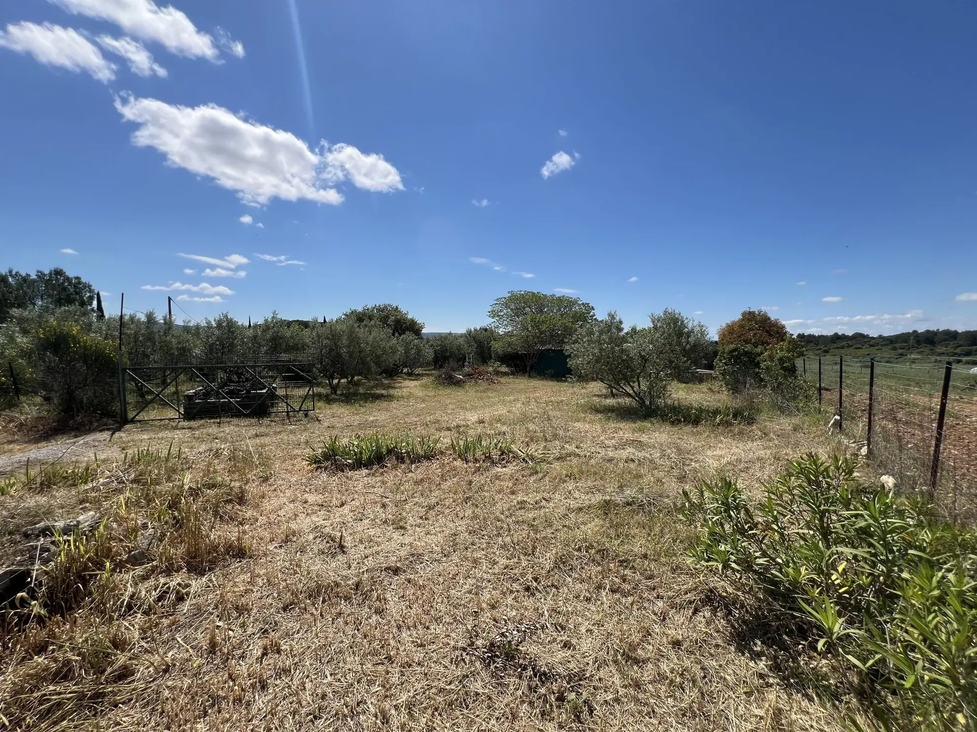 Terrain de loisir avec oliviers à Saint Jean de Fos - Vue montagne 