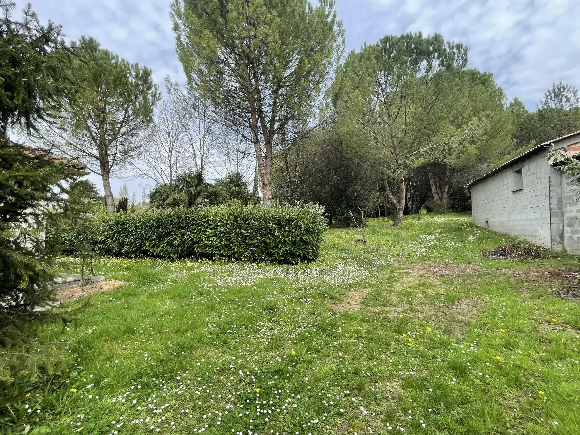 Maison avec dépendances et parc arboré à Cherves Richemont, pour vivre à la campagne 